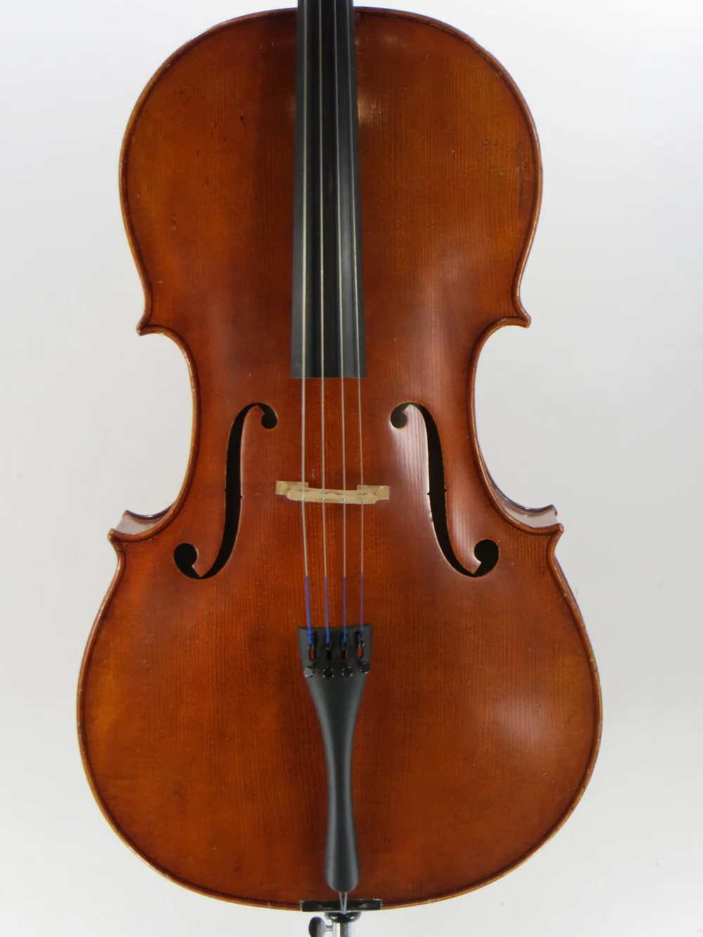 cello Zachman1.JPG?format=1000w