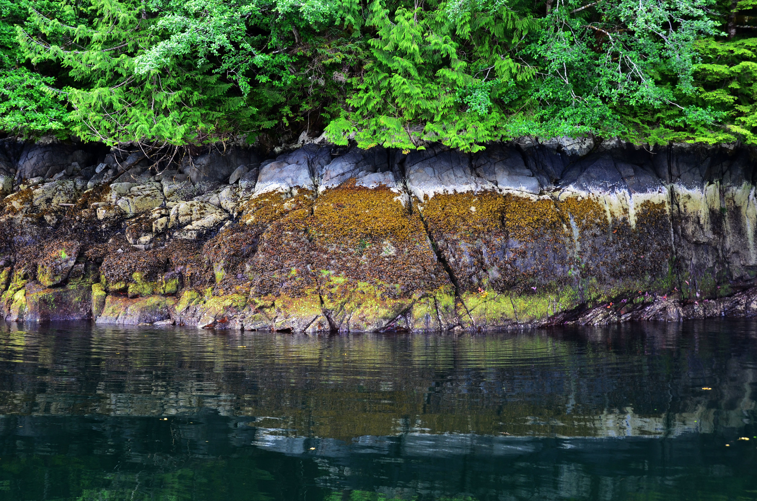 DSC_1951.JPG