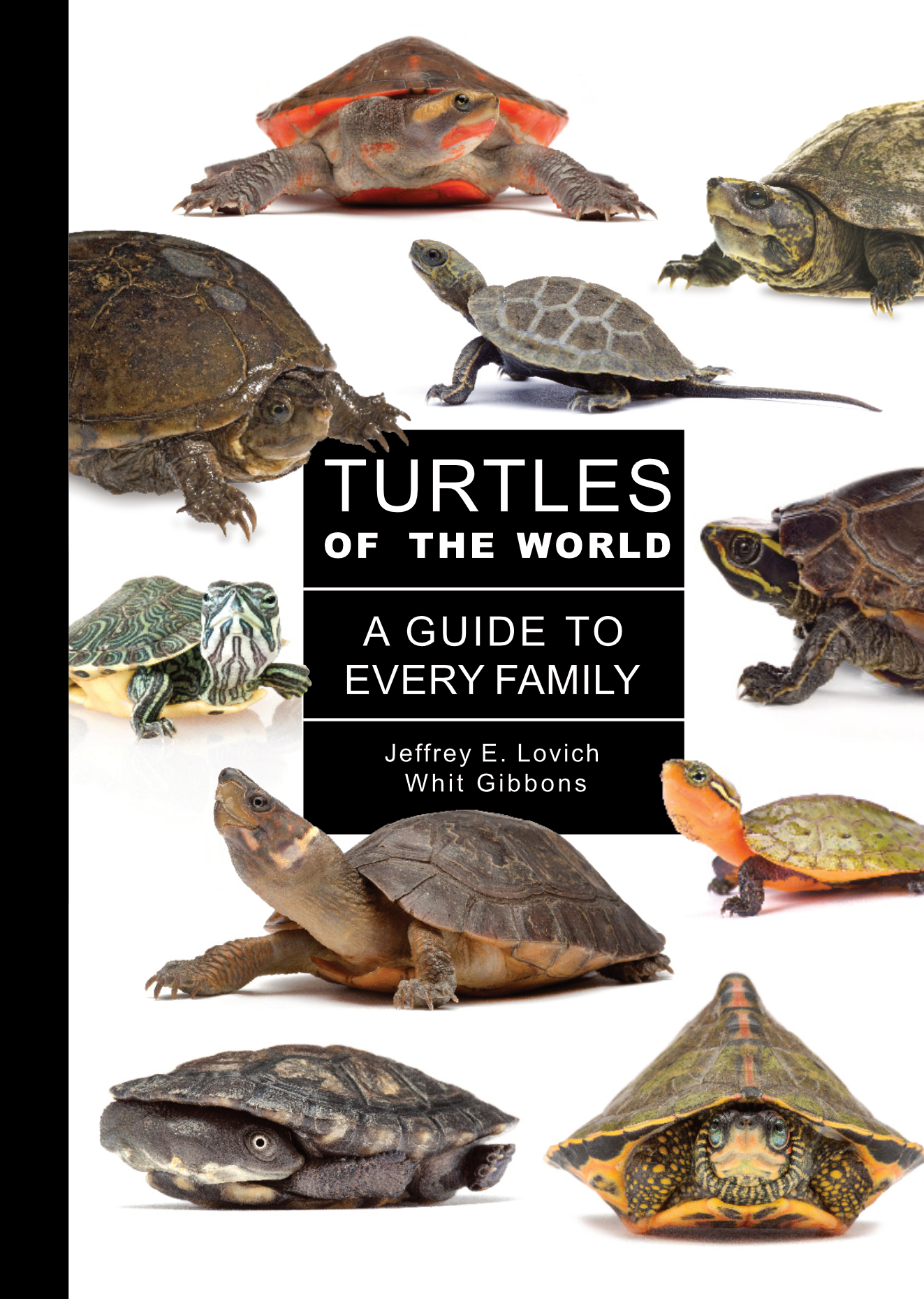 1_Turtles front cover hi-res.png