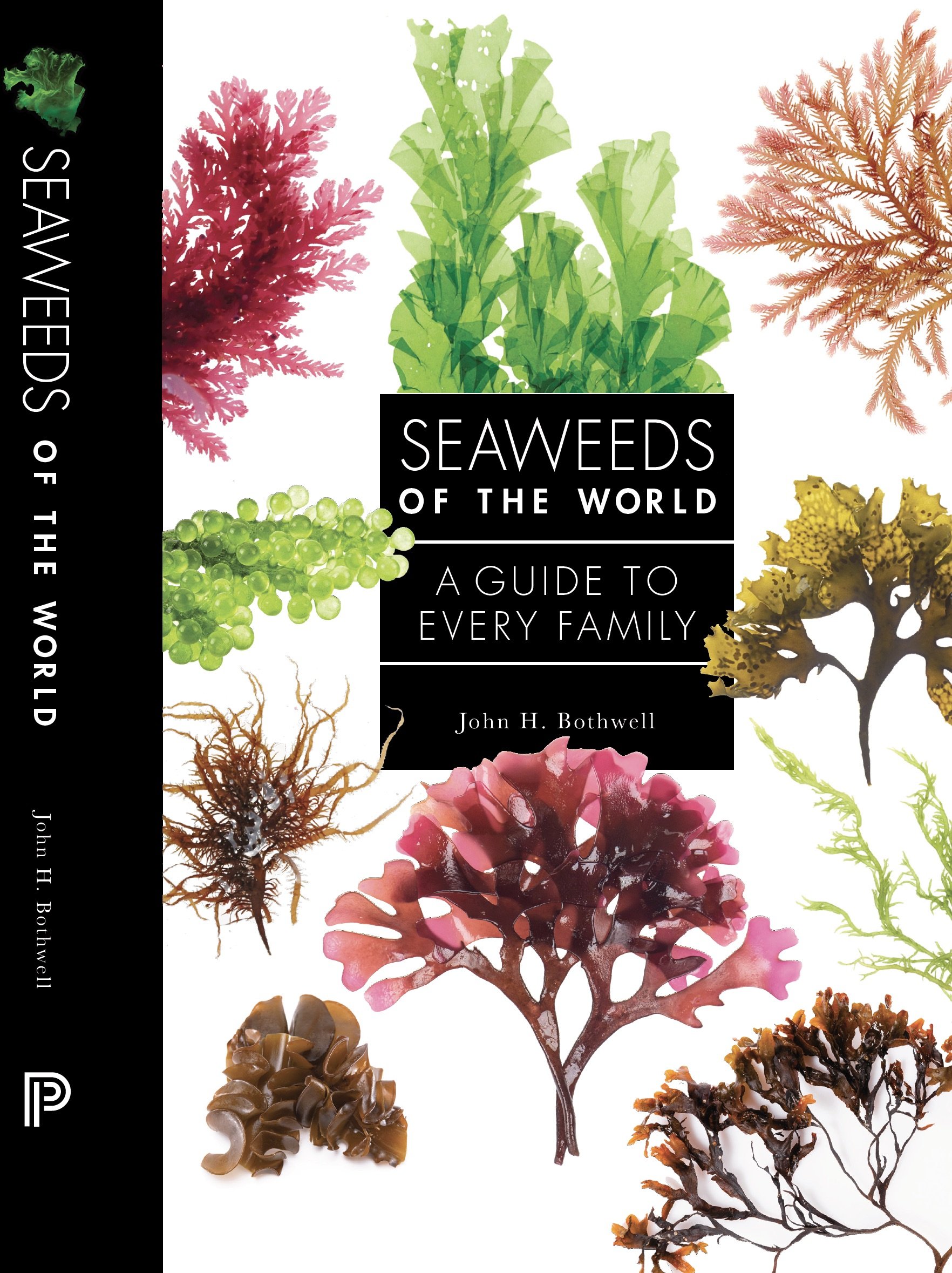 2_Seaweeds of the World.jpg
