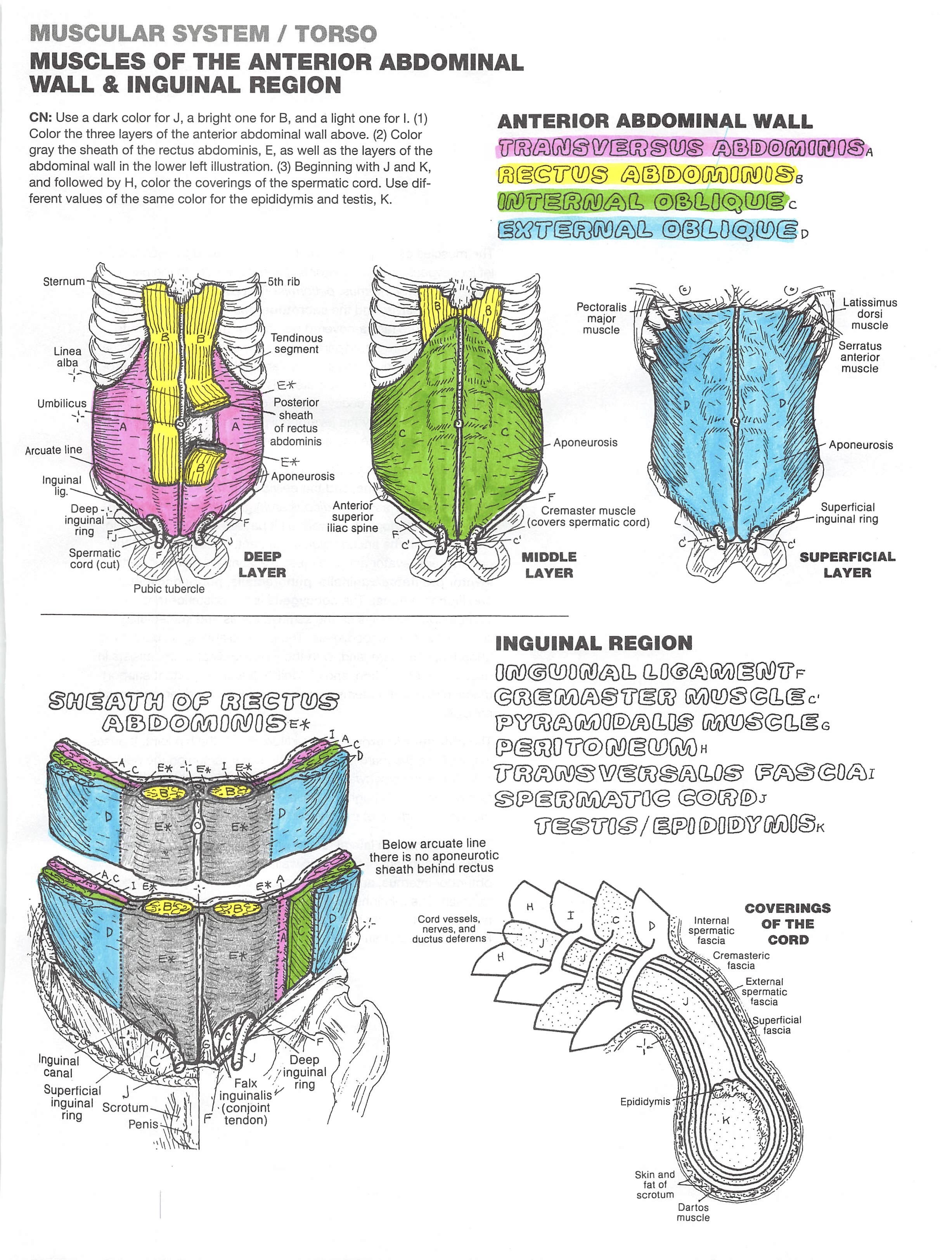 783F7516-88DE-44F6-81E6-ECCC72A06E7C_1_201_a.jpeg