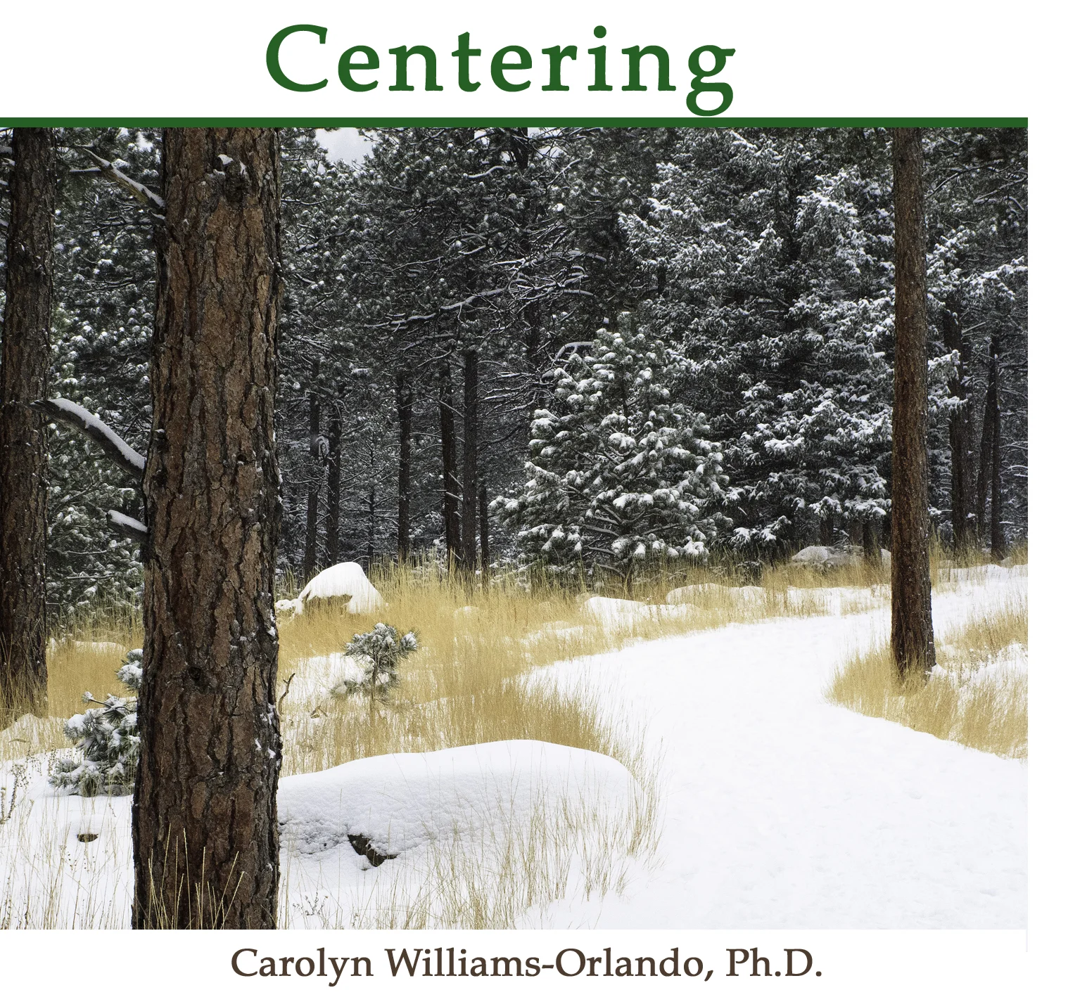 Centering front only.jpg
