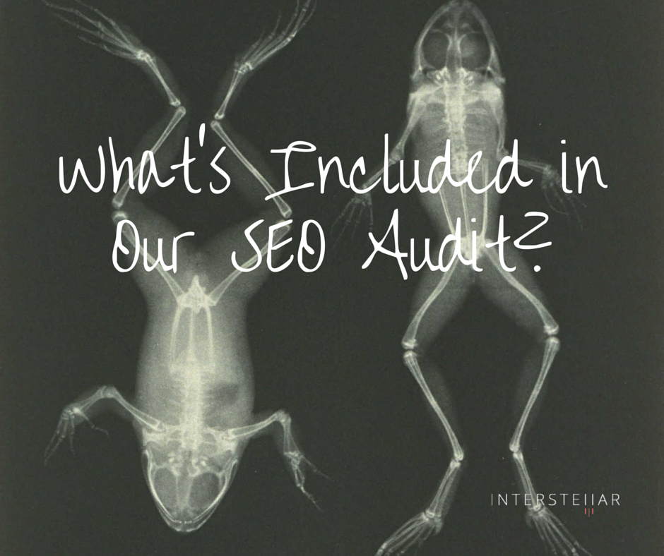 What's Included in Our SEO Audit-.png