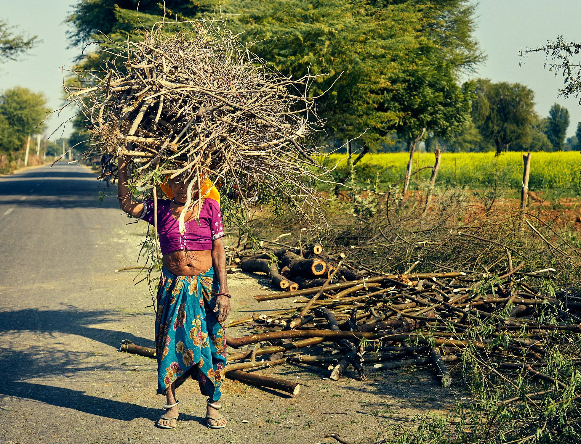 India_18__0428 copy 2.jpg