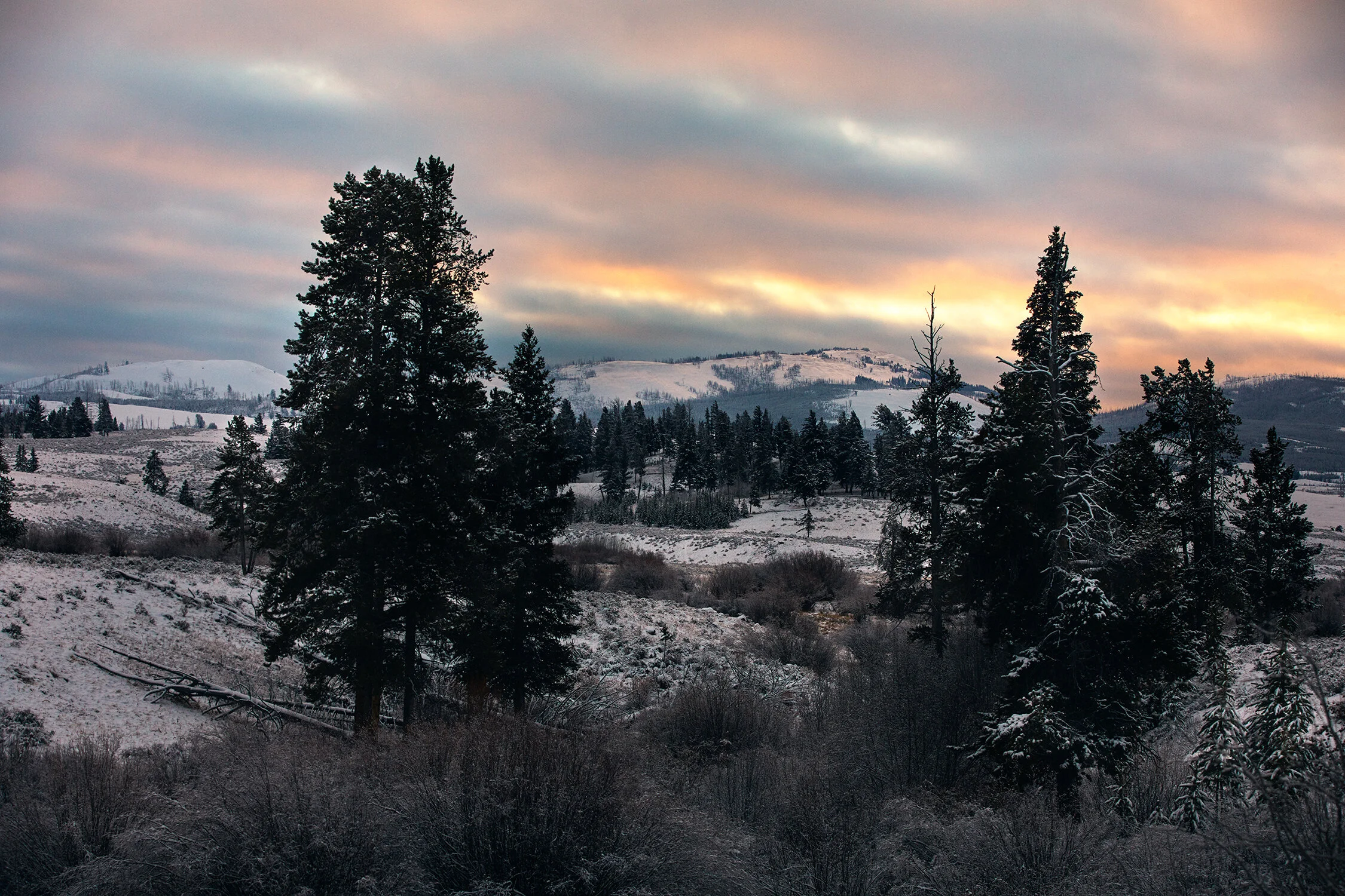 MONTANA_0001 copy.jpg