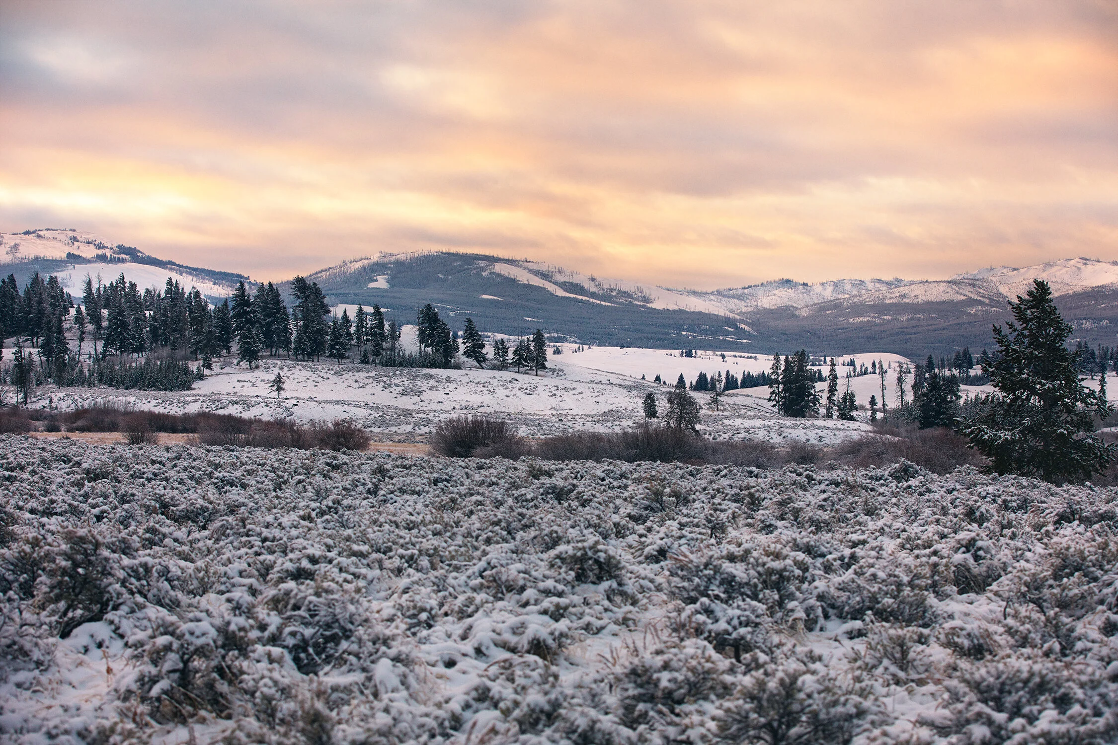 MONTANA_0005 copy.jpg