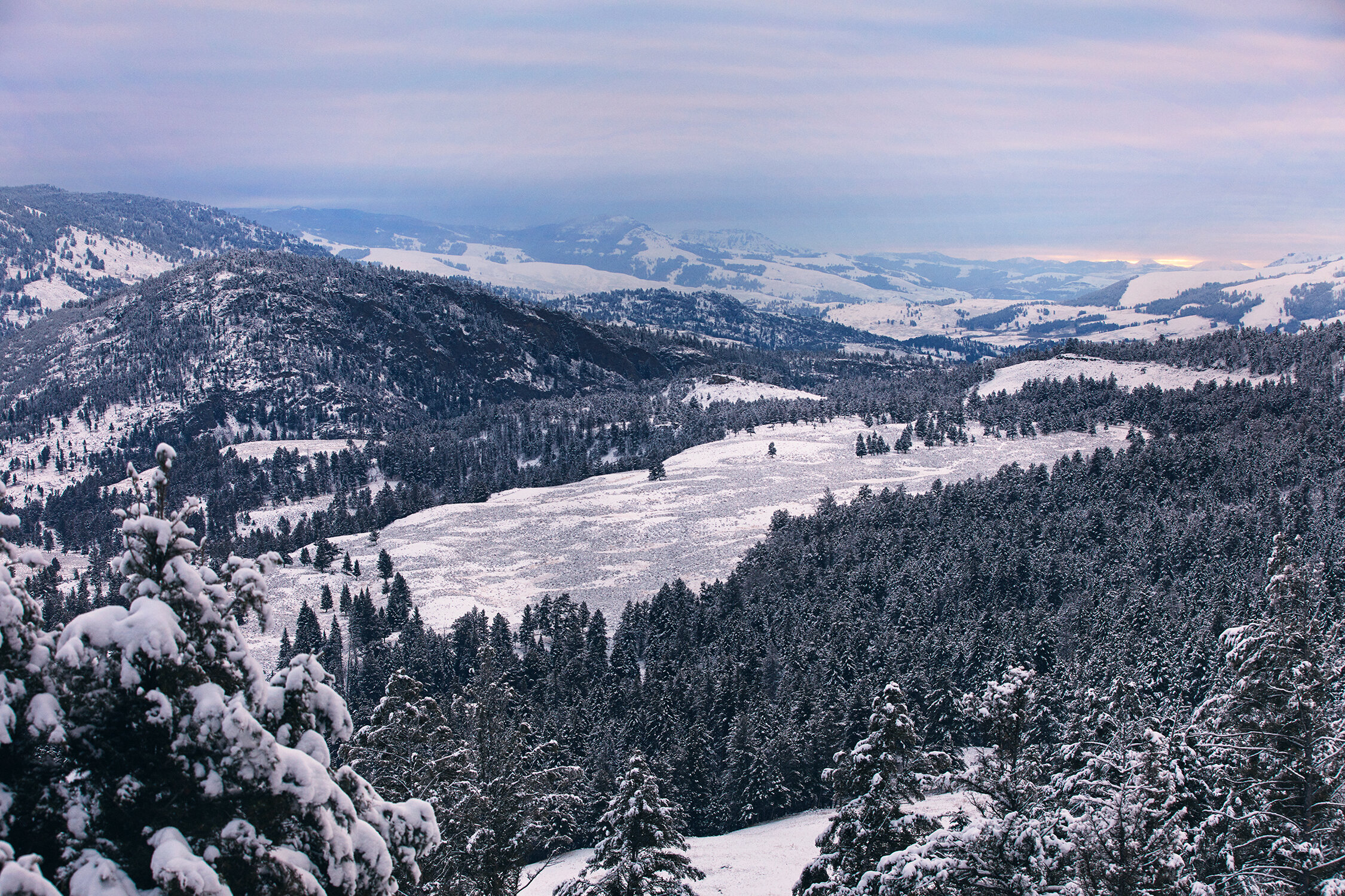 MONTANA_0040 copy.jpg