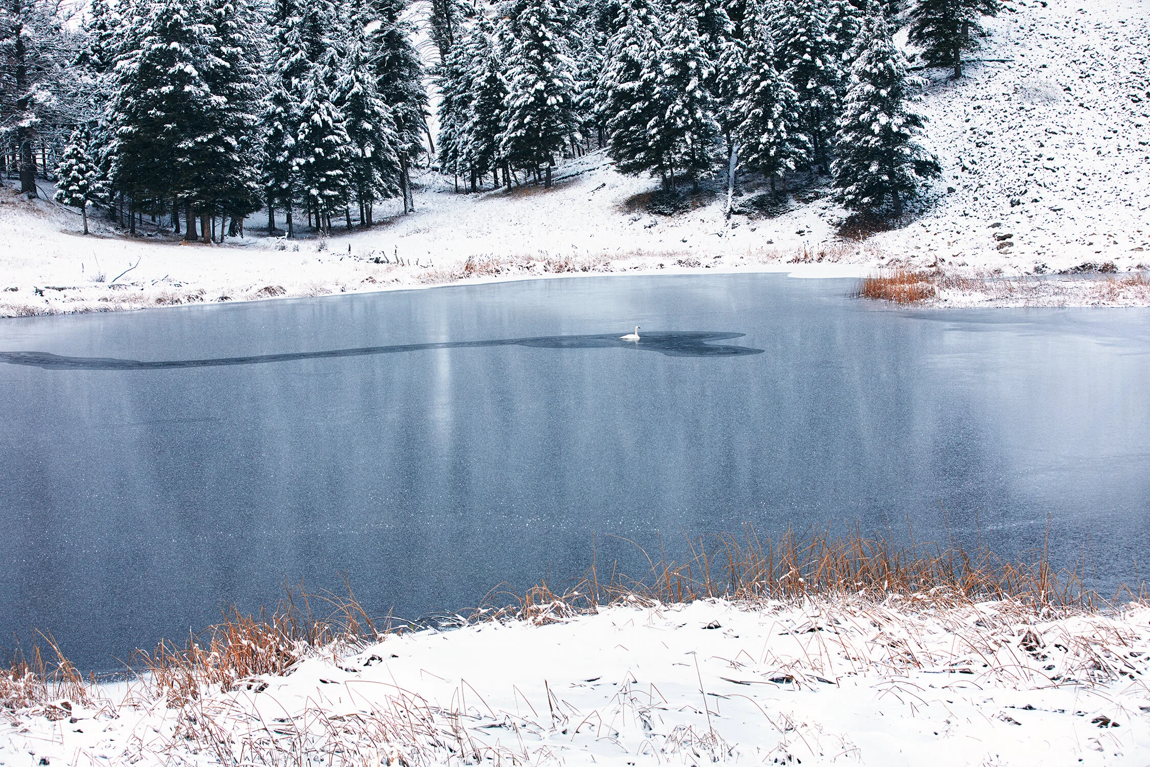 MONTANA_0070 copy.jpg