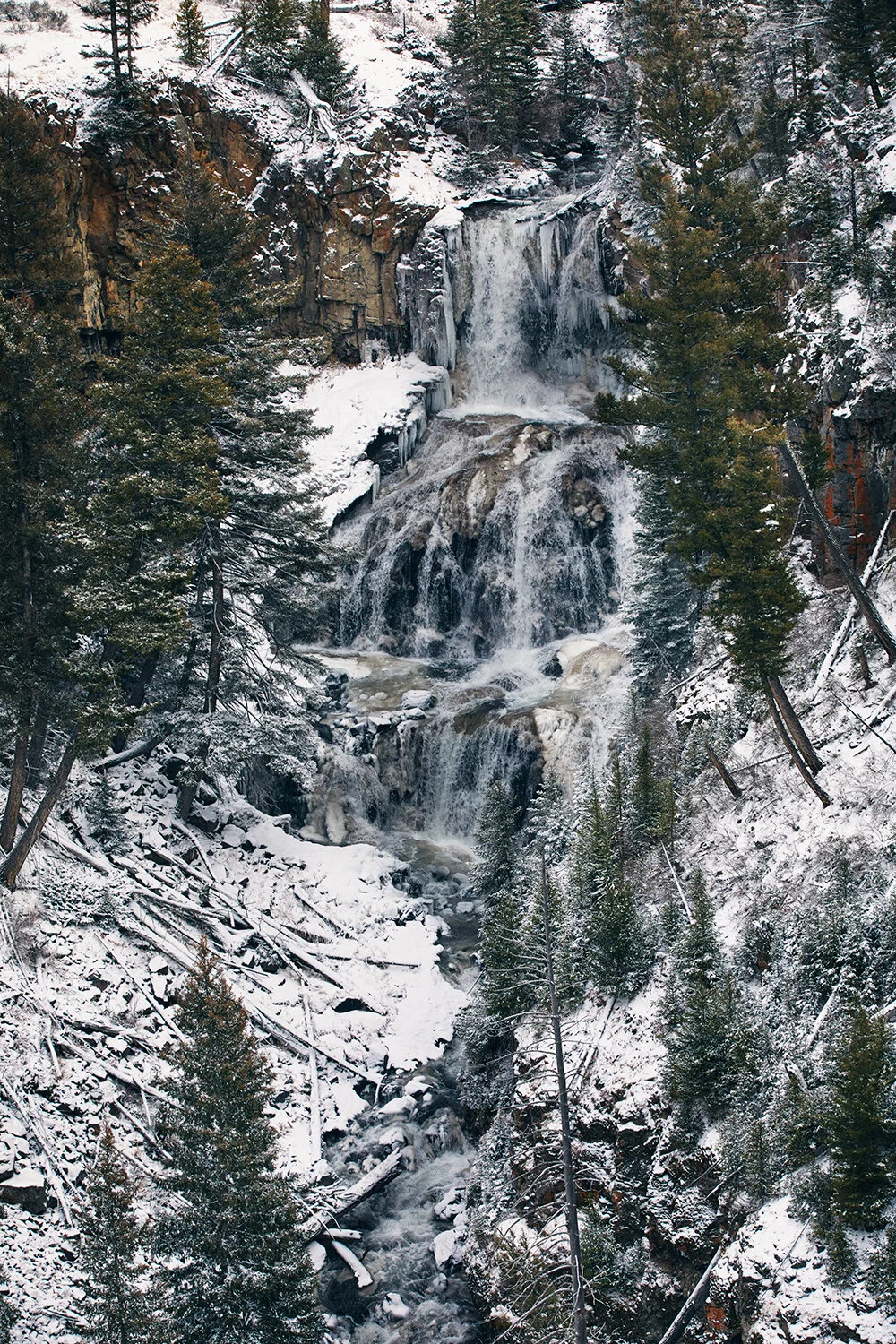 MONTANA_0214 copy.jpg