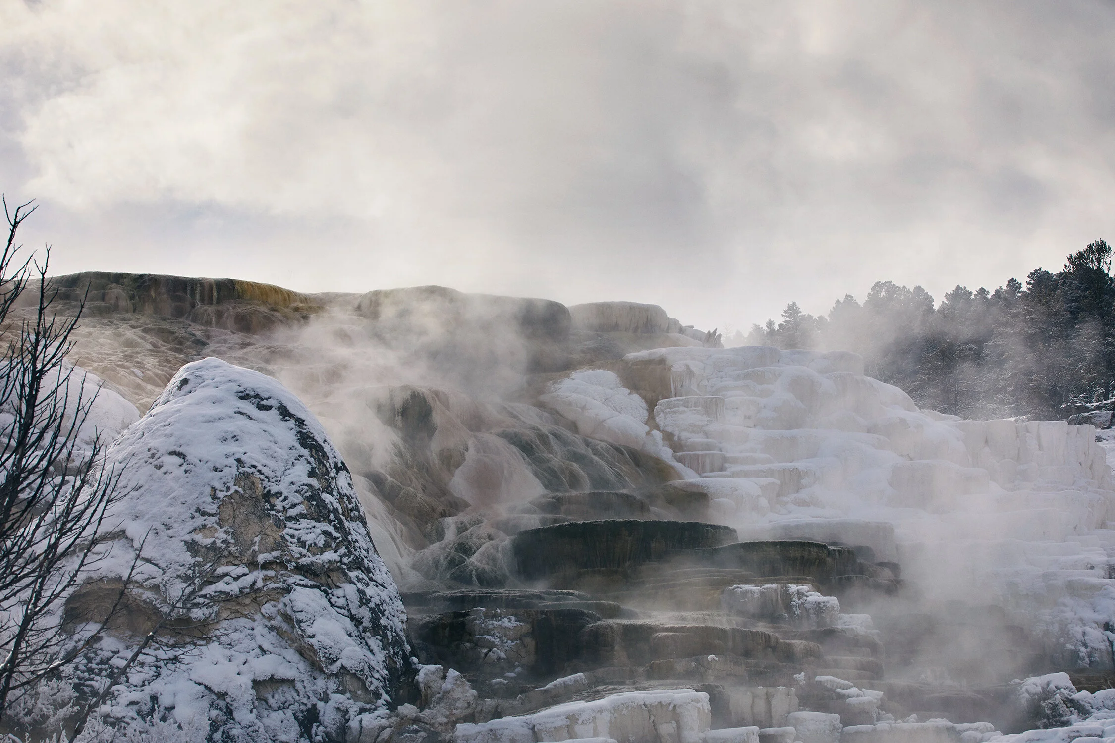 MONTANA_0248 copy.jpg