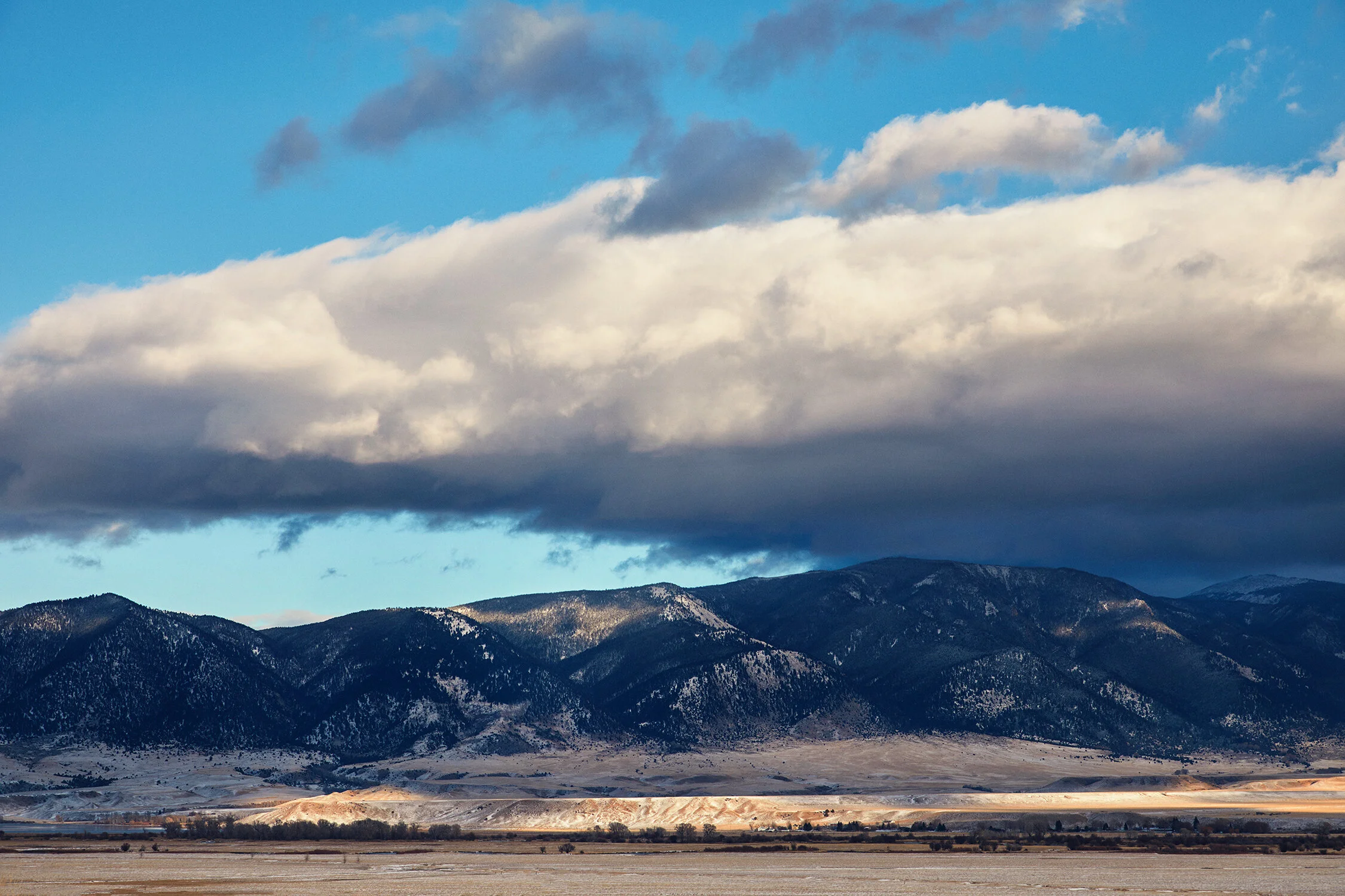 MONTANA_0509 copy.jpg