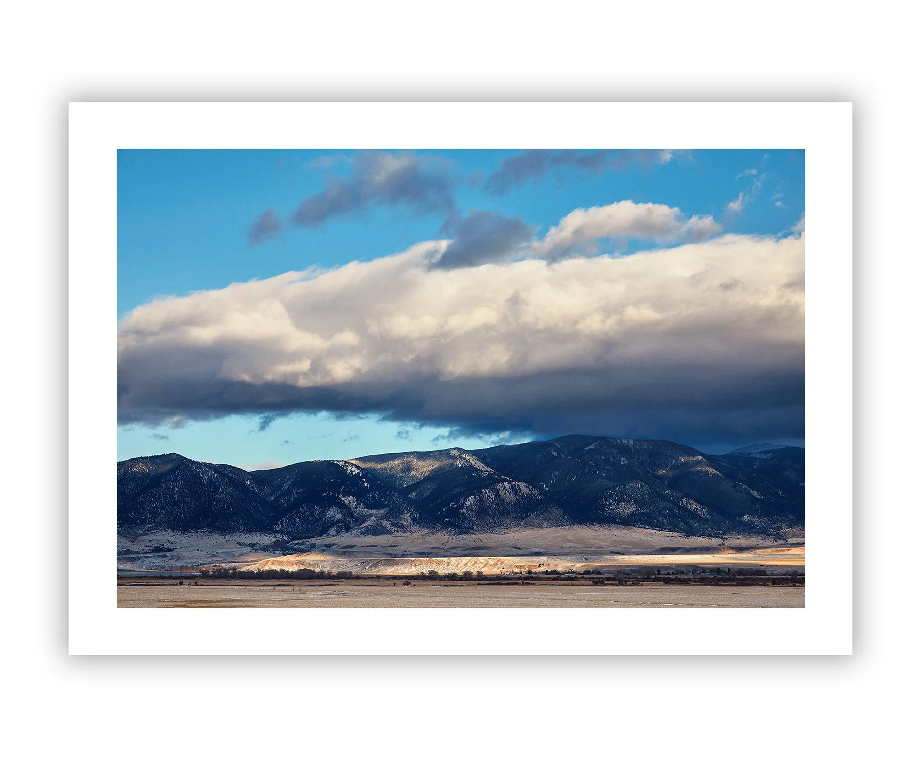 vertical print1_montana2 copy.jpg