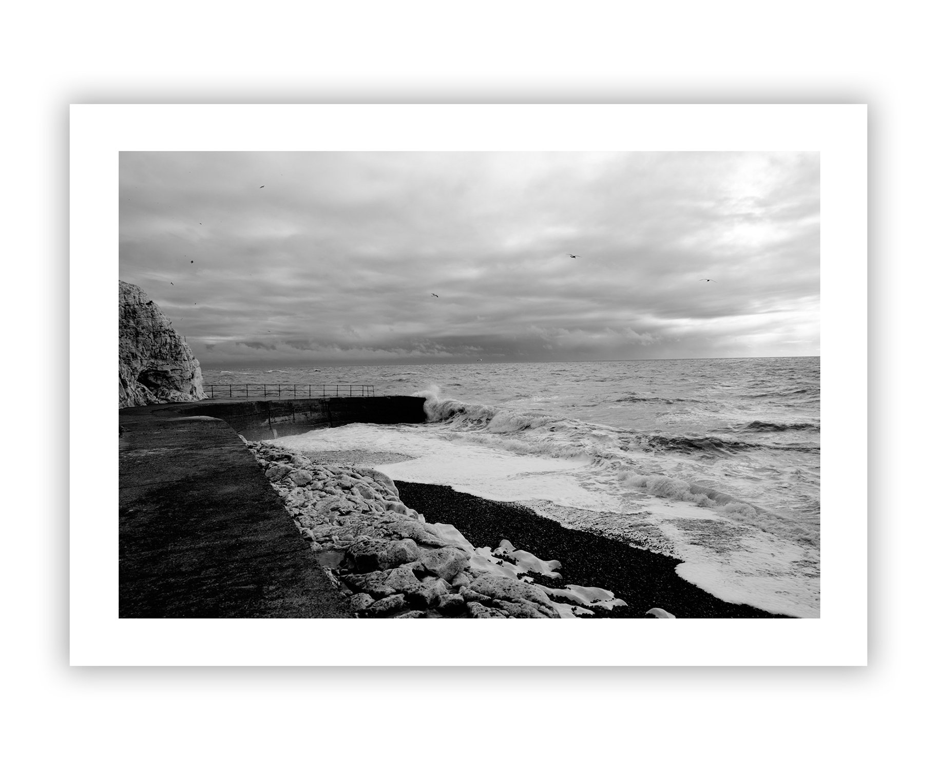 vertical print1_seaford1 copy.jpg