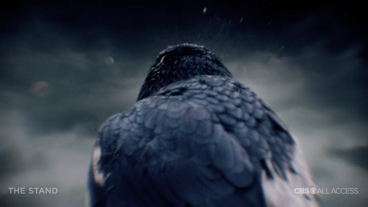 THE STAND - RAVEN TEASER-high.gif