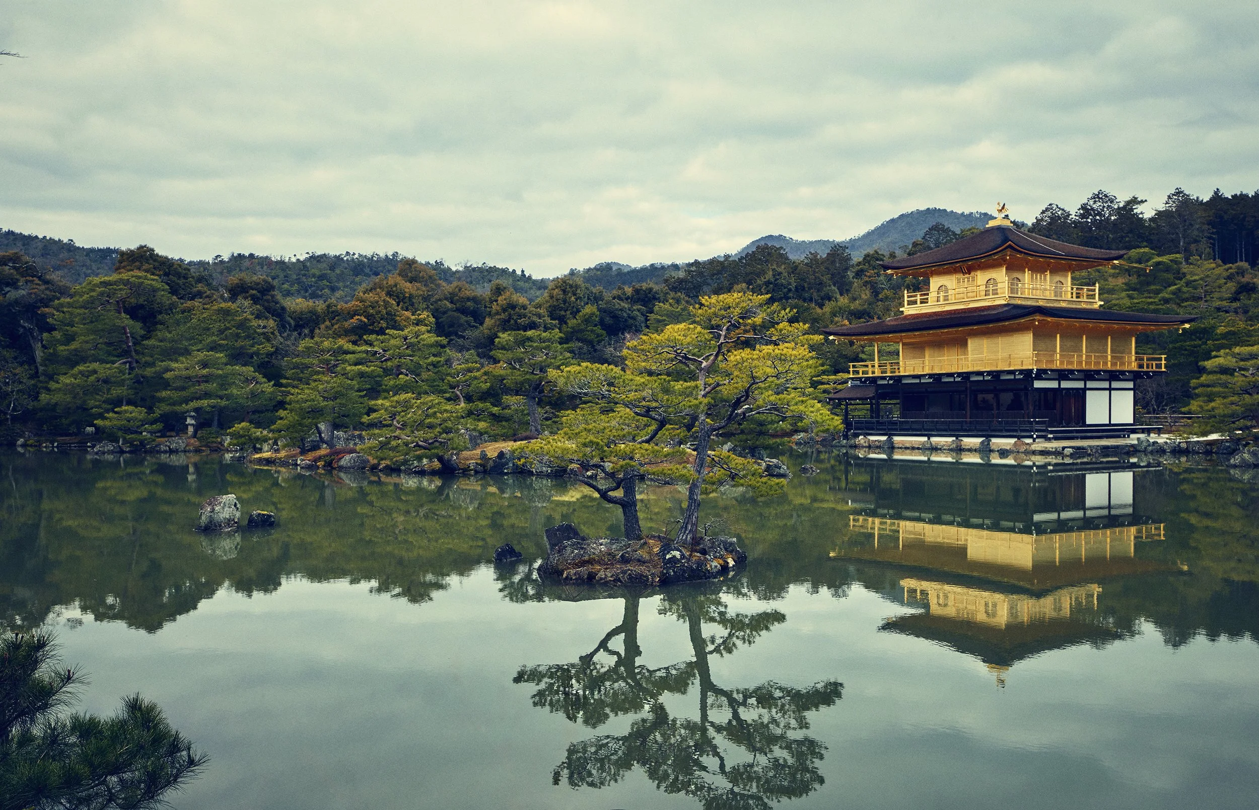 SHO_JP_2023_1111 copy.jpg