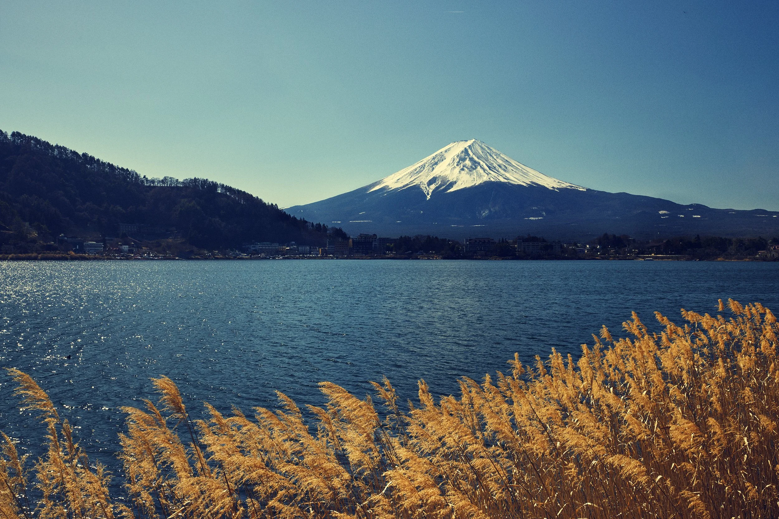 SHO_JP_2023_0460 copy.jpg