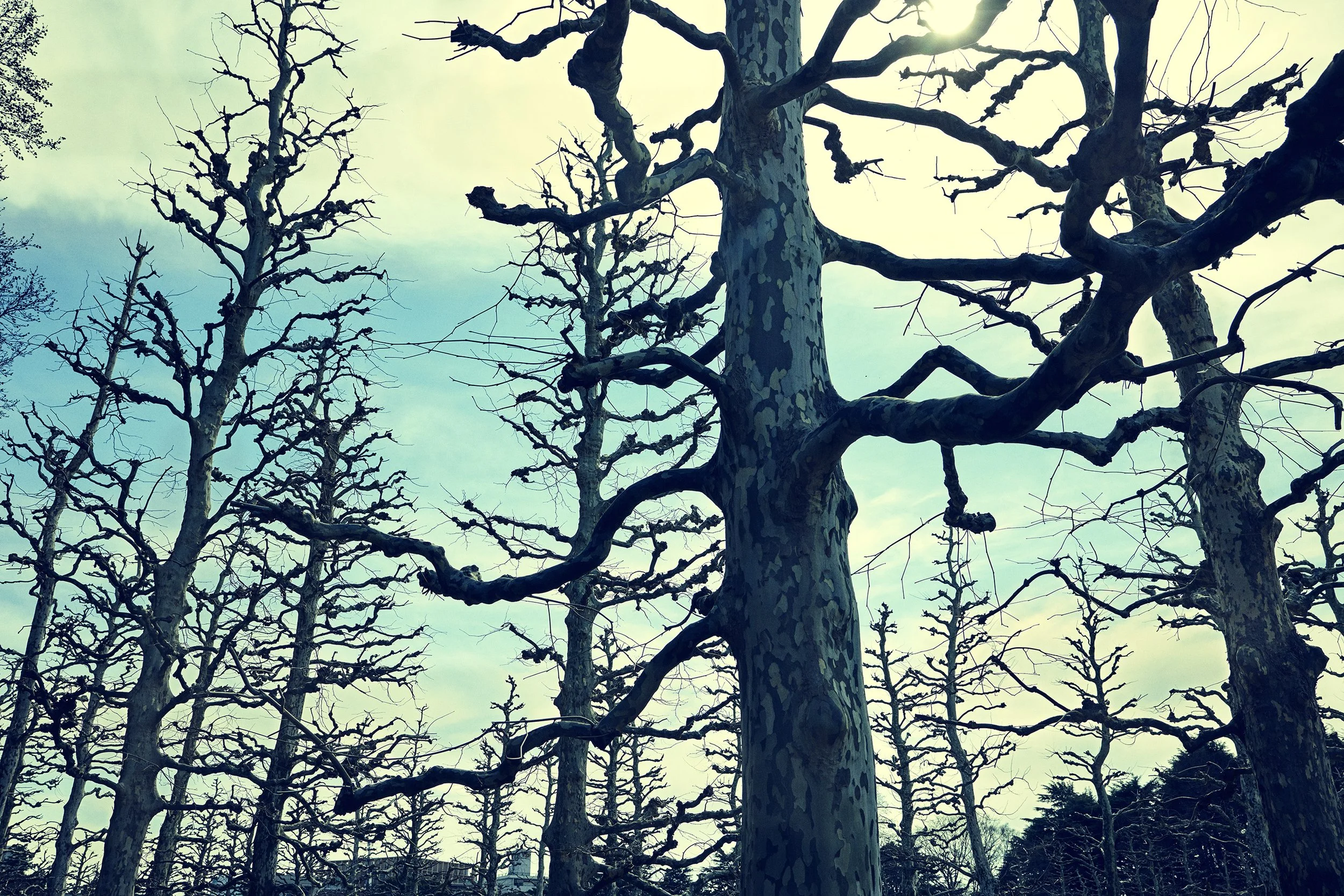 SHO_JP_2023_0691 copy.jpg