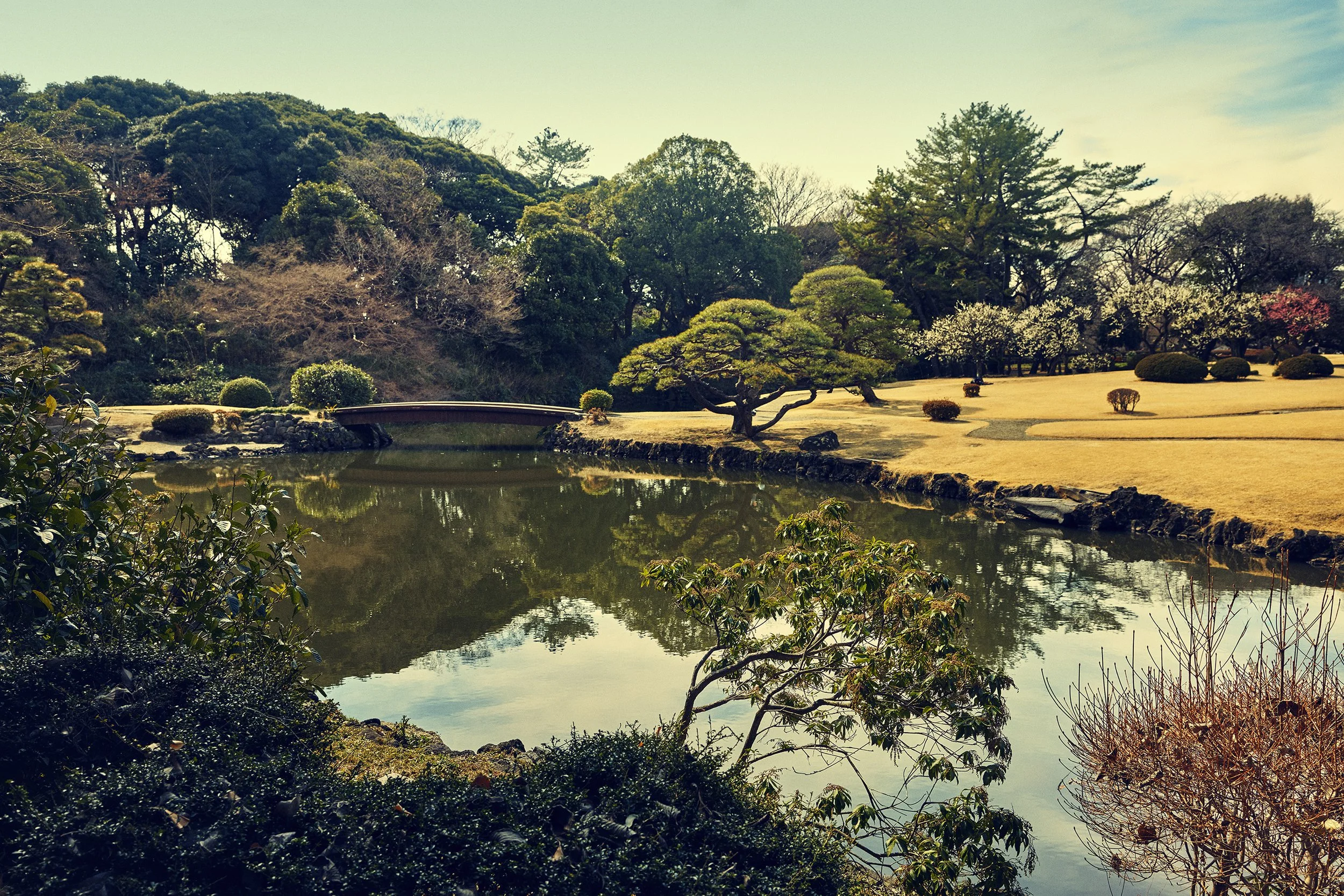 SHO_JP_2023_0683 copy.jpg