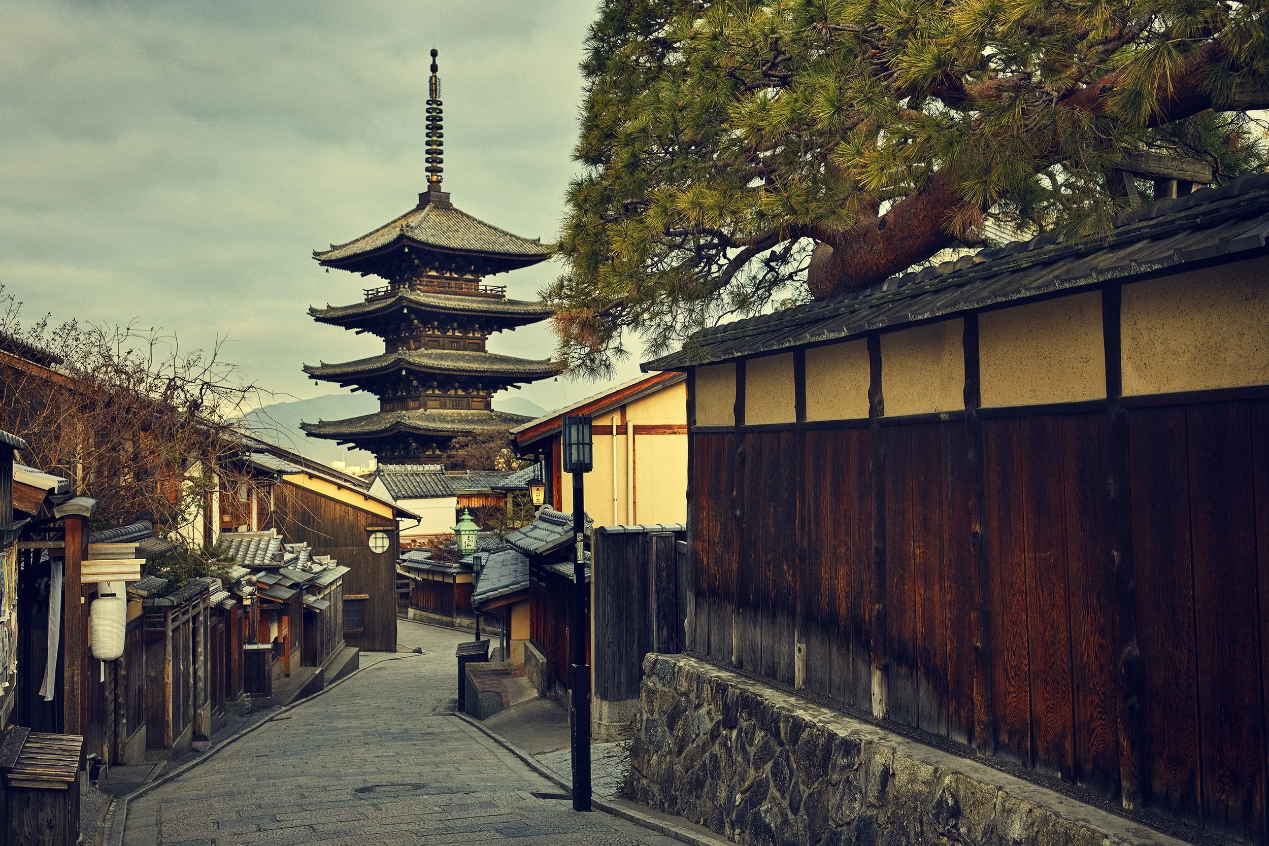 SHO_JP_2023_0841 copy.jpg