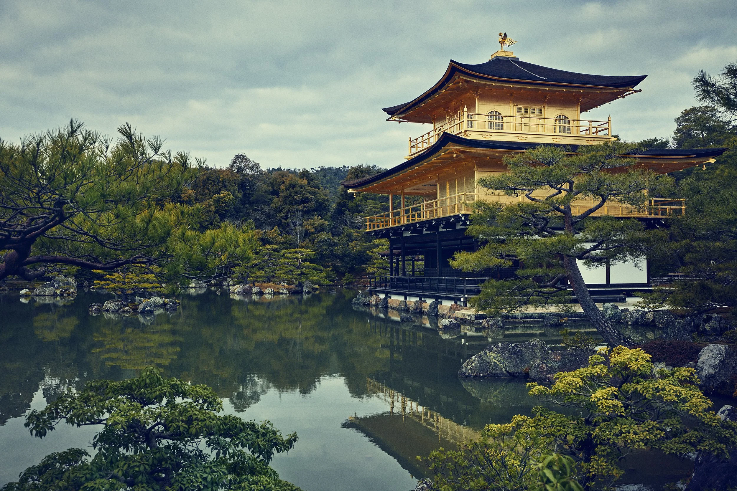 SHO_JP_2023_1161 copy.jpg