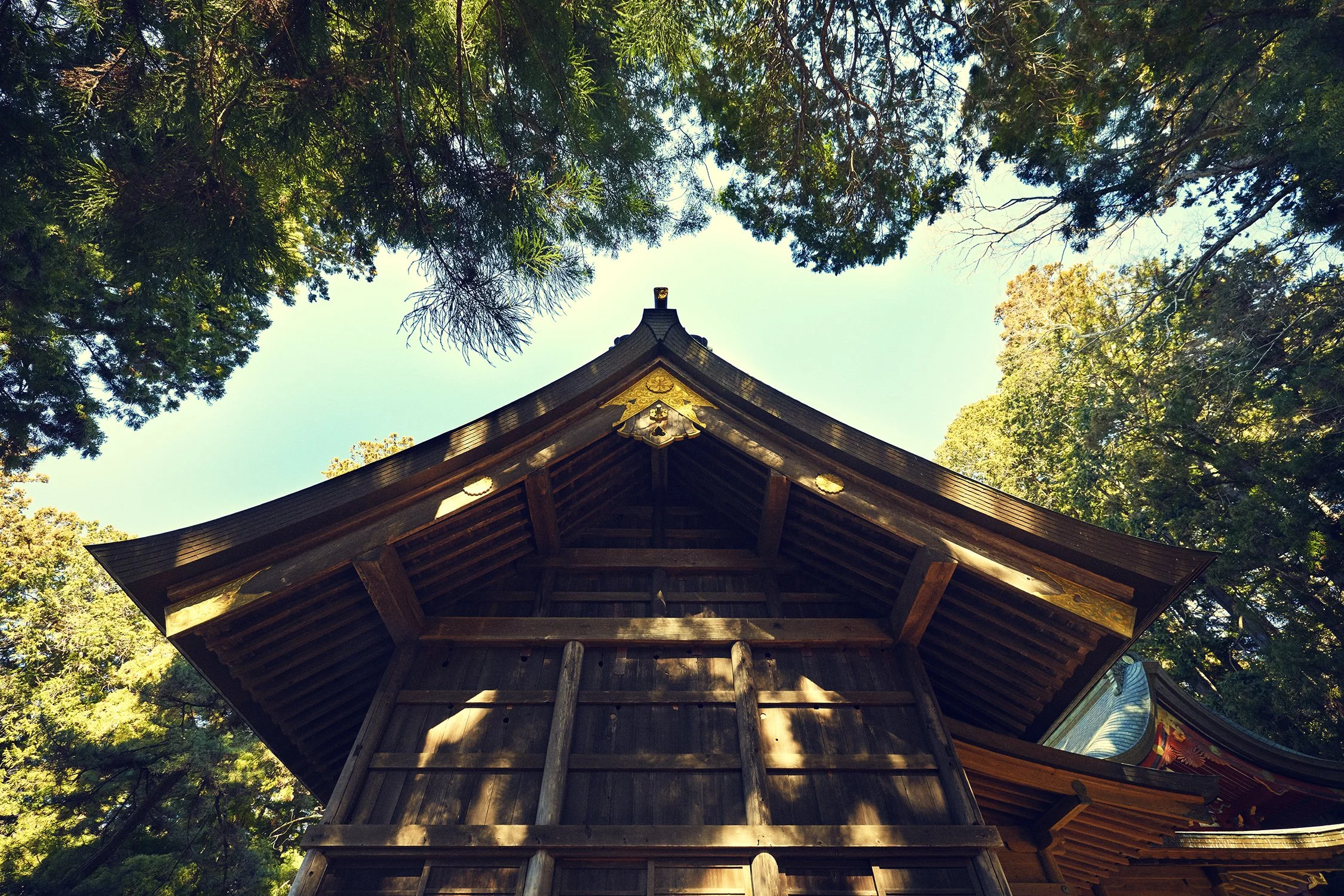 SHO_JP_2023_0500 copy.jpg