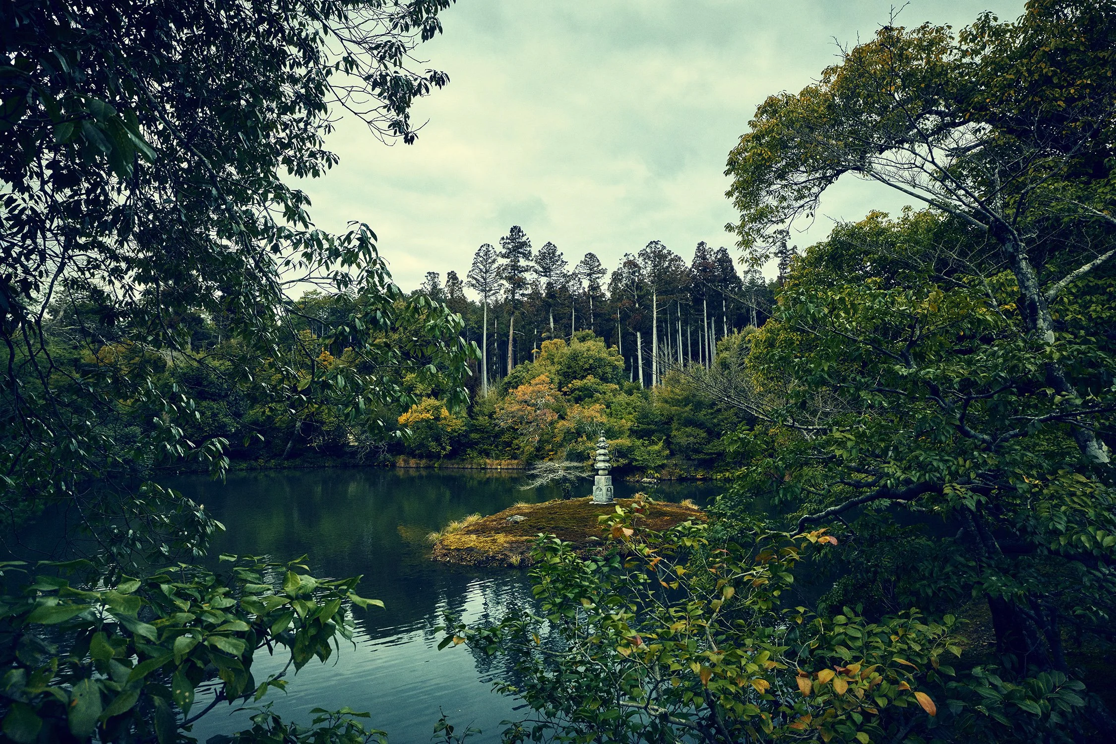 SHO_JP_2023_1199 copy.jpg