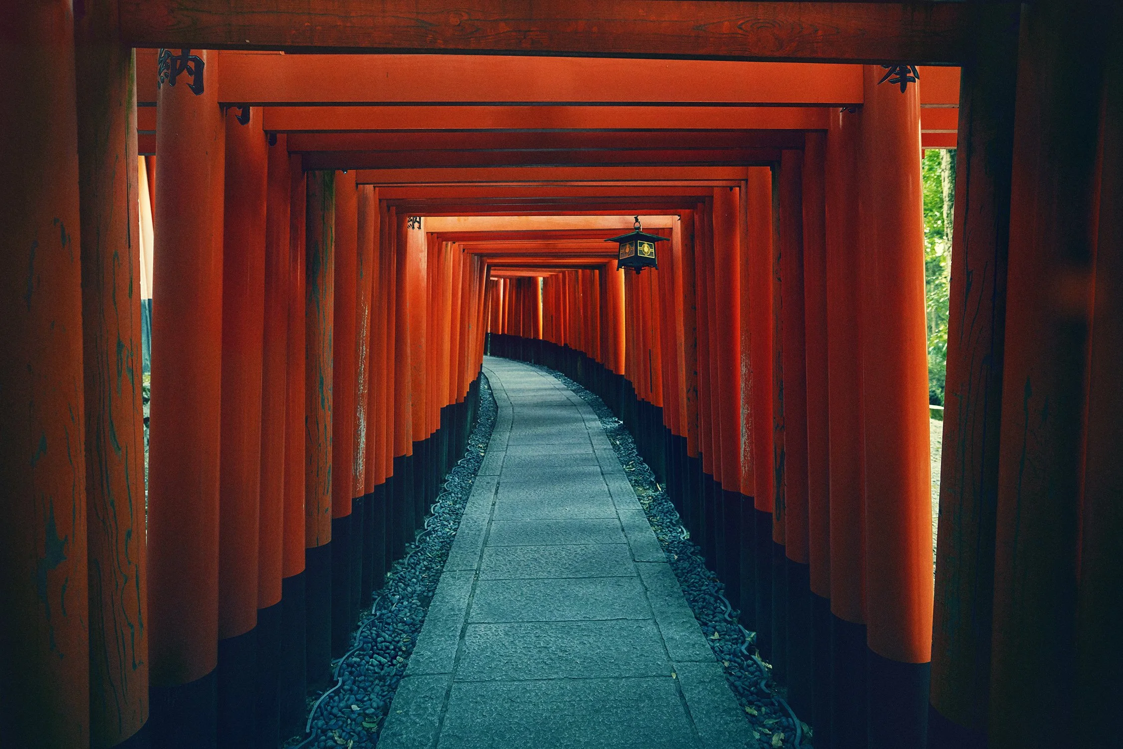 SHO_JP_2023_1454 copy.jpg