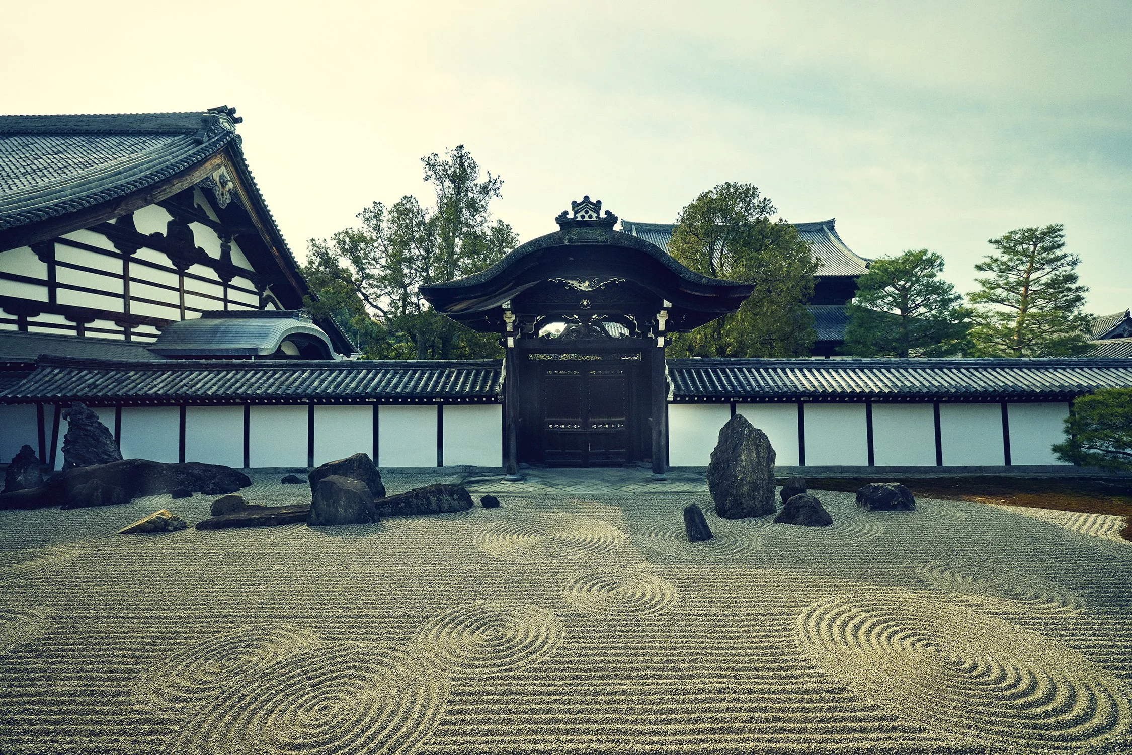 SHO_JP_2023_1607 copy.jpg