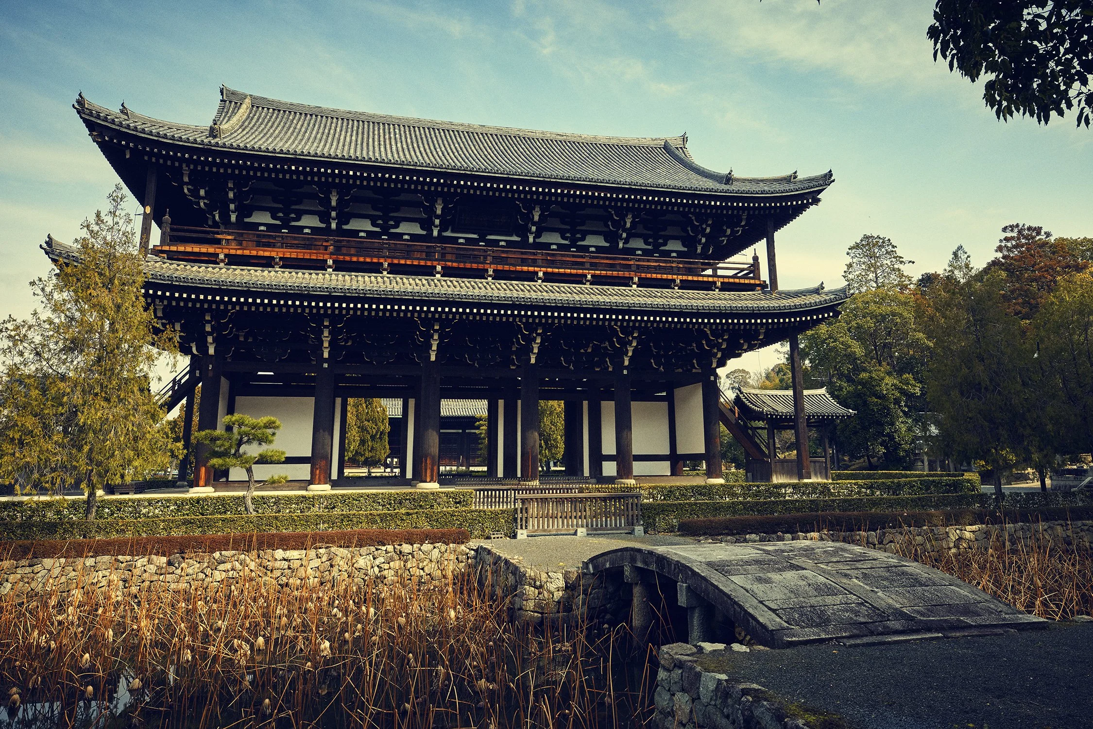 SHO_JP_2023_1663 copy.jpg