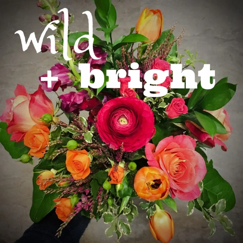 Wild & Bright