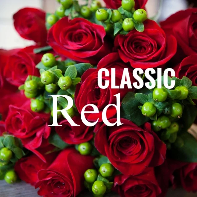 Classic Long-stemmed Red Roses