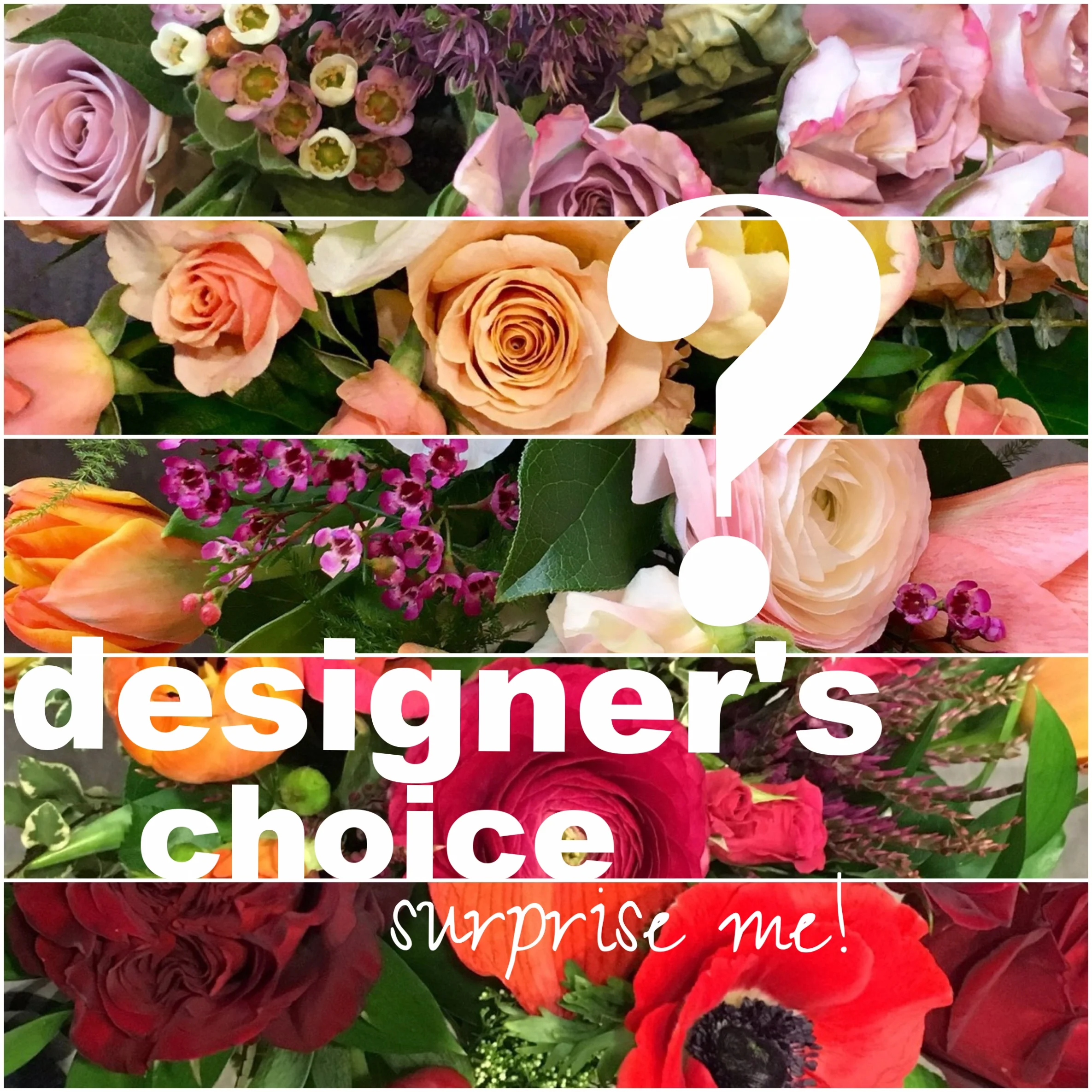 Designer's Choice-Surprise Me!