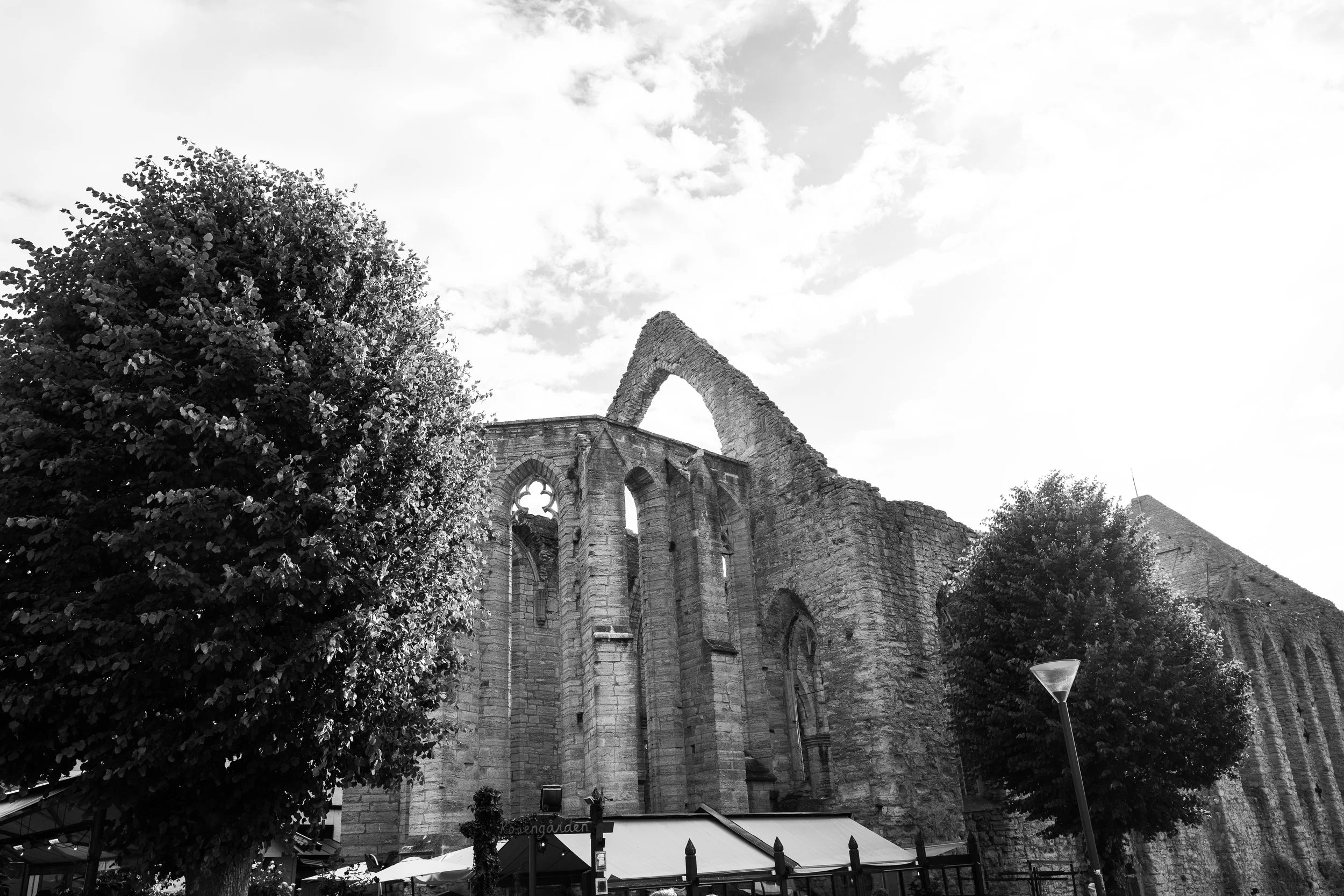 L1000245.jpg