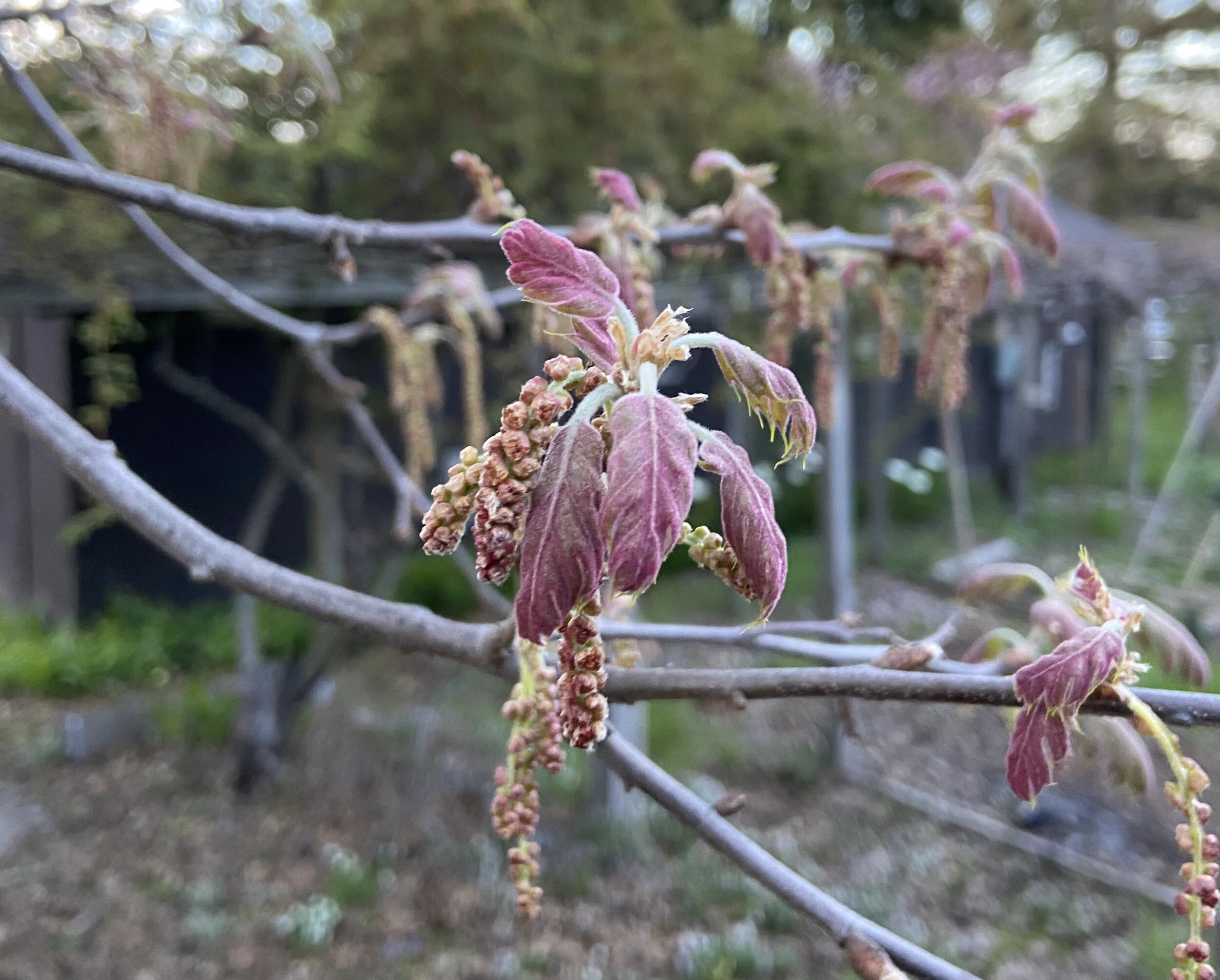 A Gentle Transition into Spring