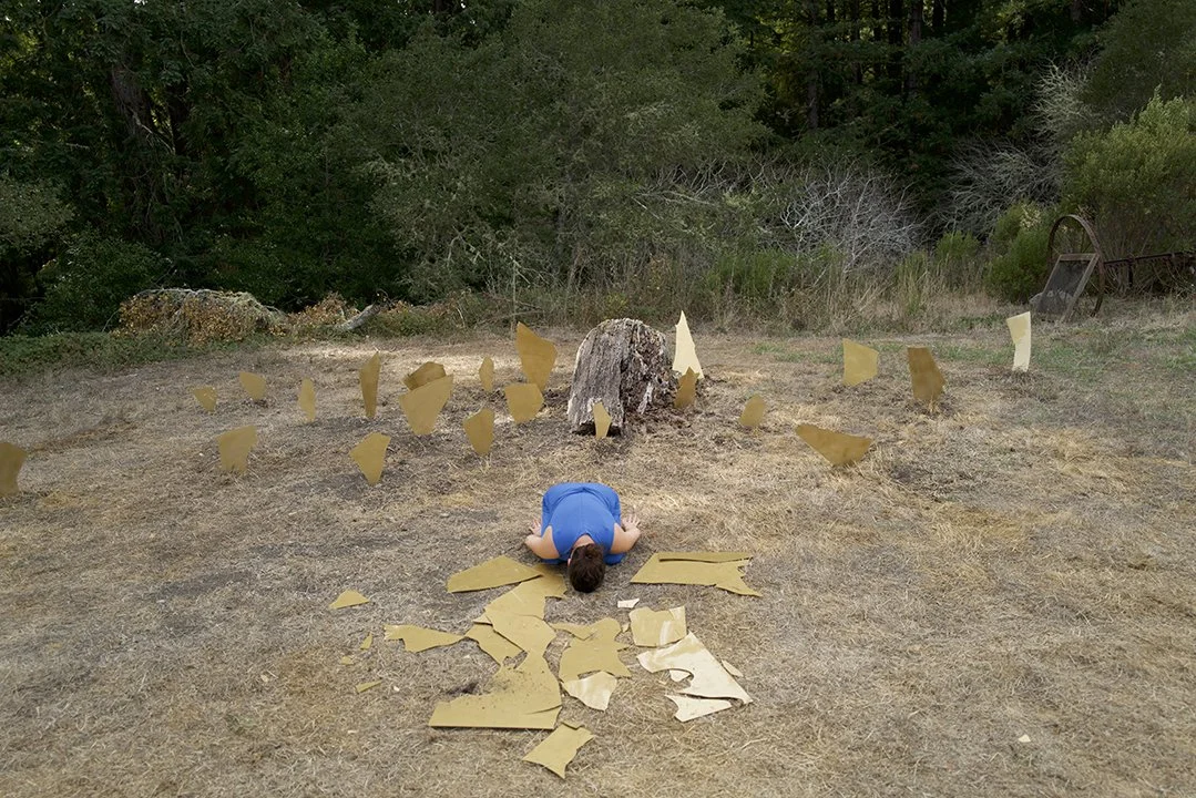 2024 NAVIGATION II: Solitude, Djerassi, Woodside, CA