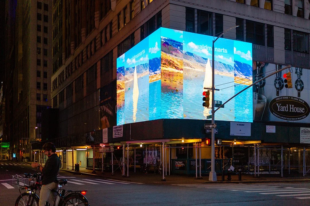 Ancestral Constructs, 2020, Tunnels of the Mind, SFAI and ZAZ10TS, NY Times Square, New York, NY