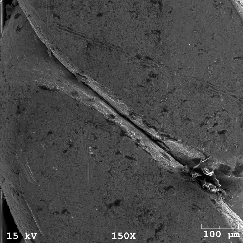 Micrograph of Twisted Silver Wire 150x