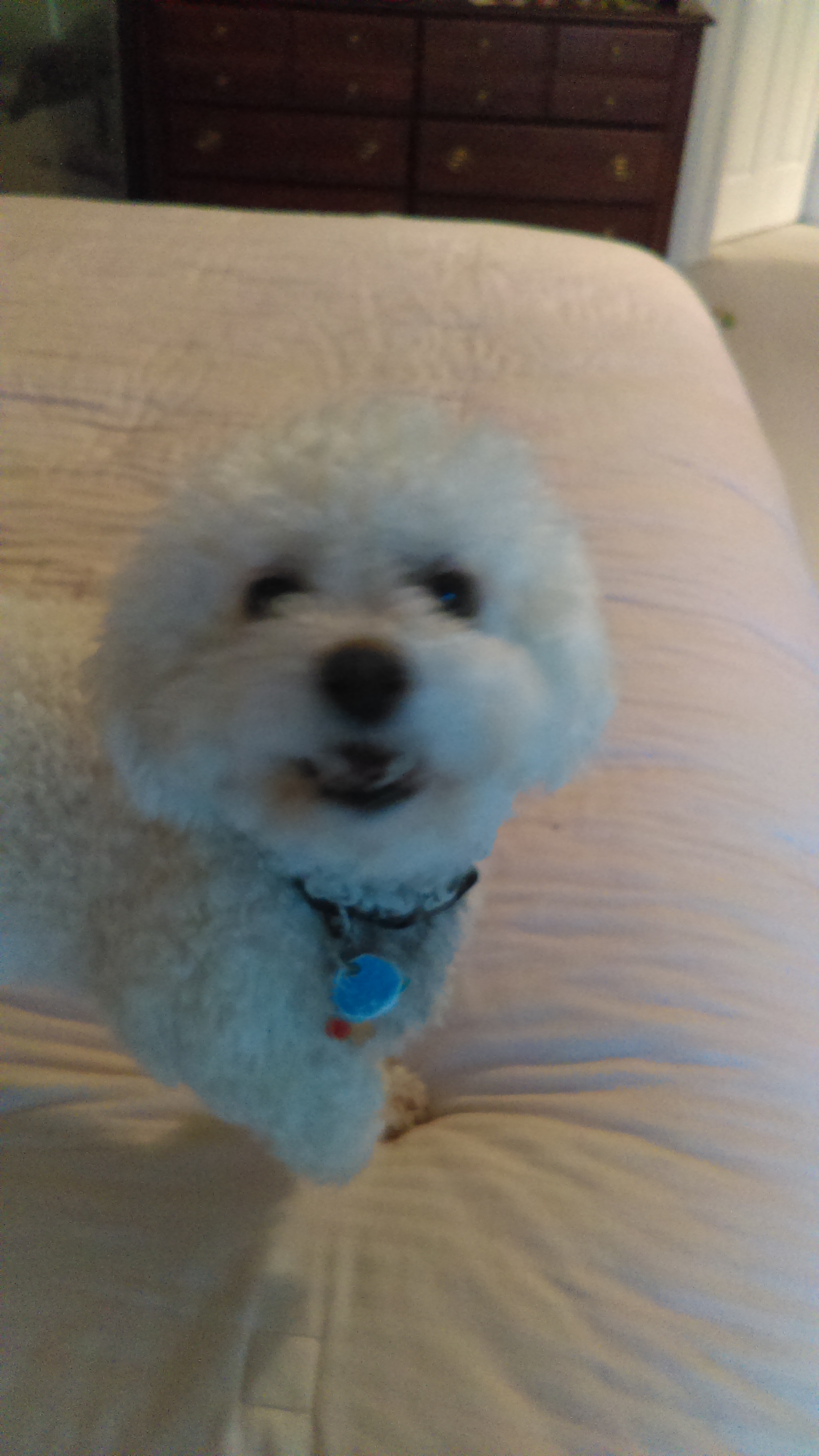 Baxter did not want to stay with the others for a group picture. Or stay still for that matter.