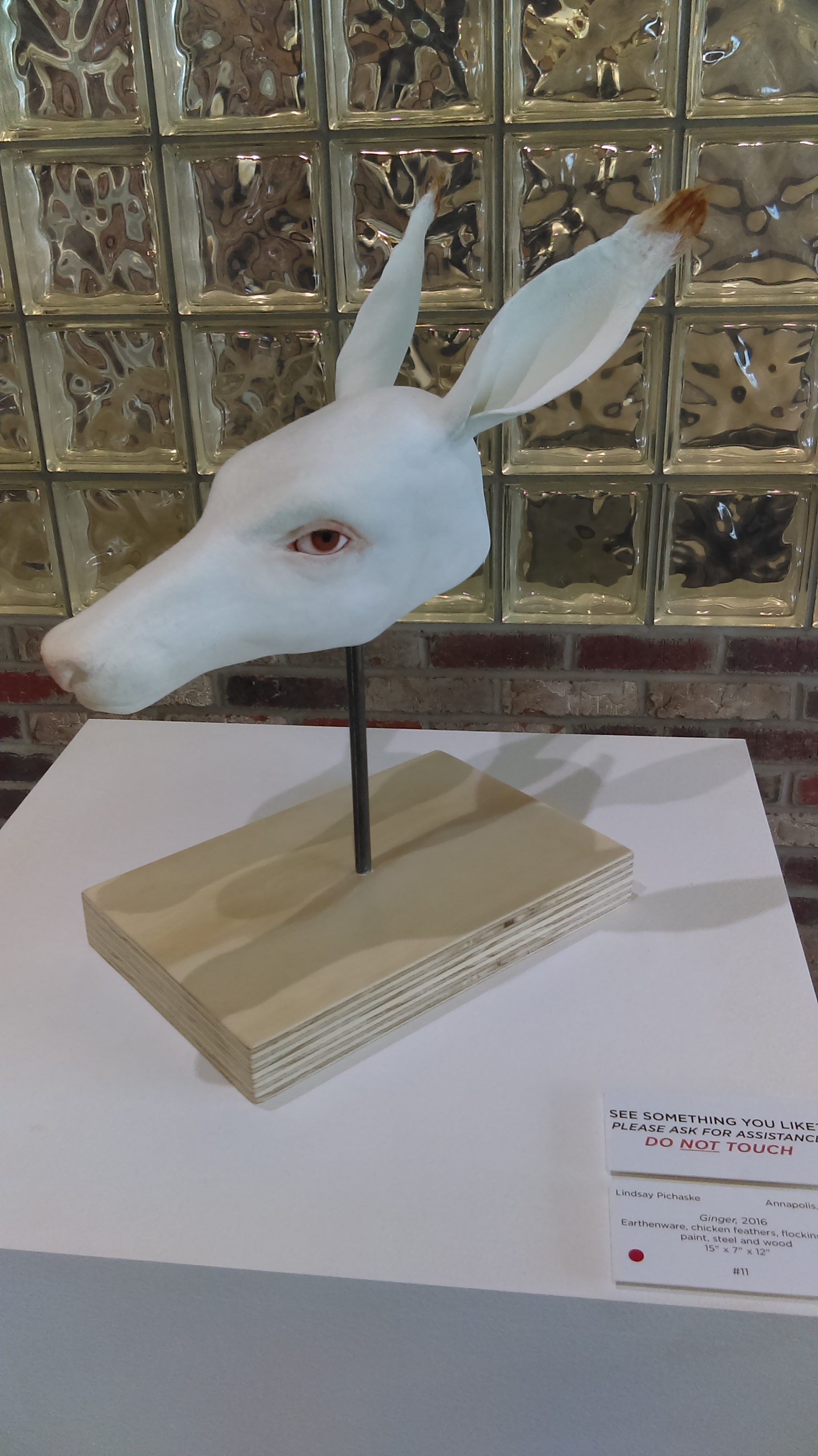 Ginger Lindsay Pichaske , 2016 (earthenware, chicken feathers, flocking, milk paint, steel, wood). The beauty of this work is in the details; The flocking around the eyes, and the addition of feathers at the ear tips create a convincing illusion of reality.