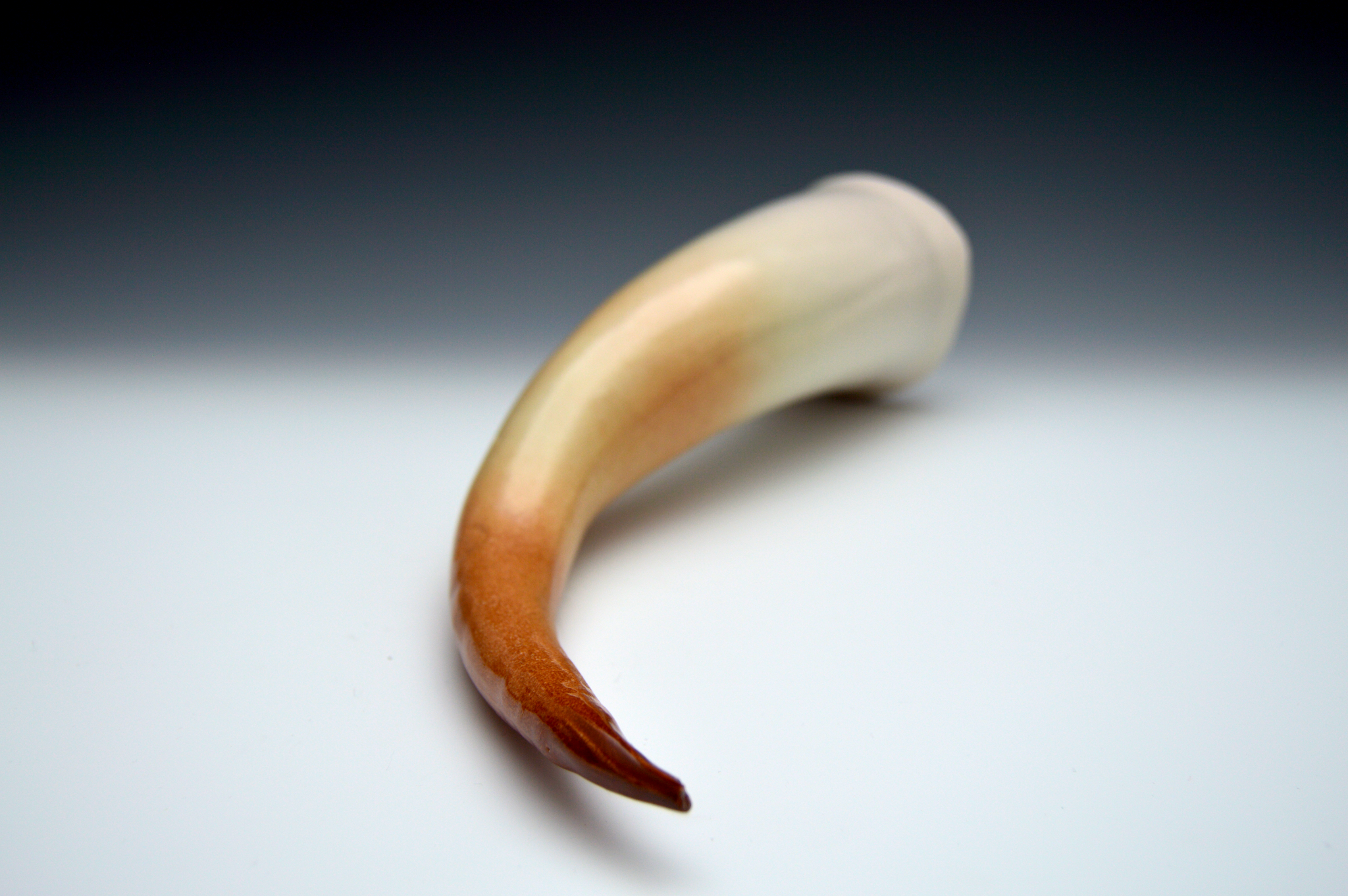 Large Drinking Horn Brown