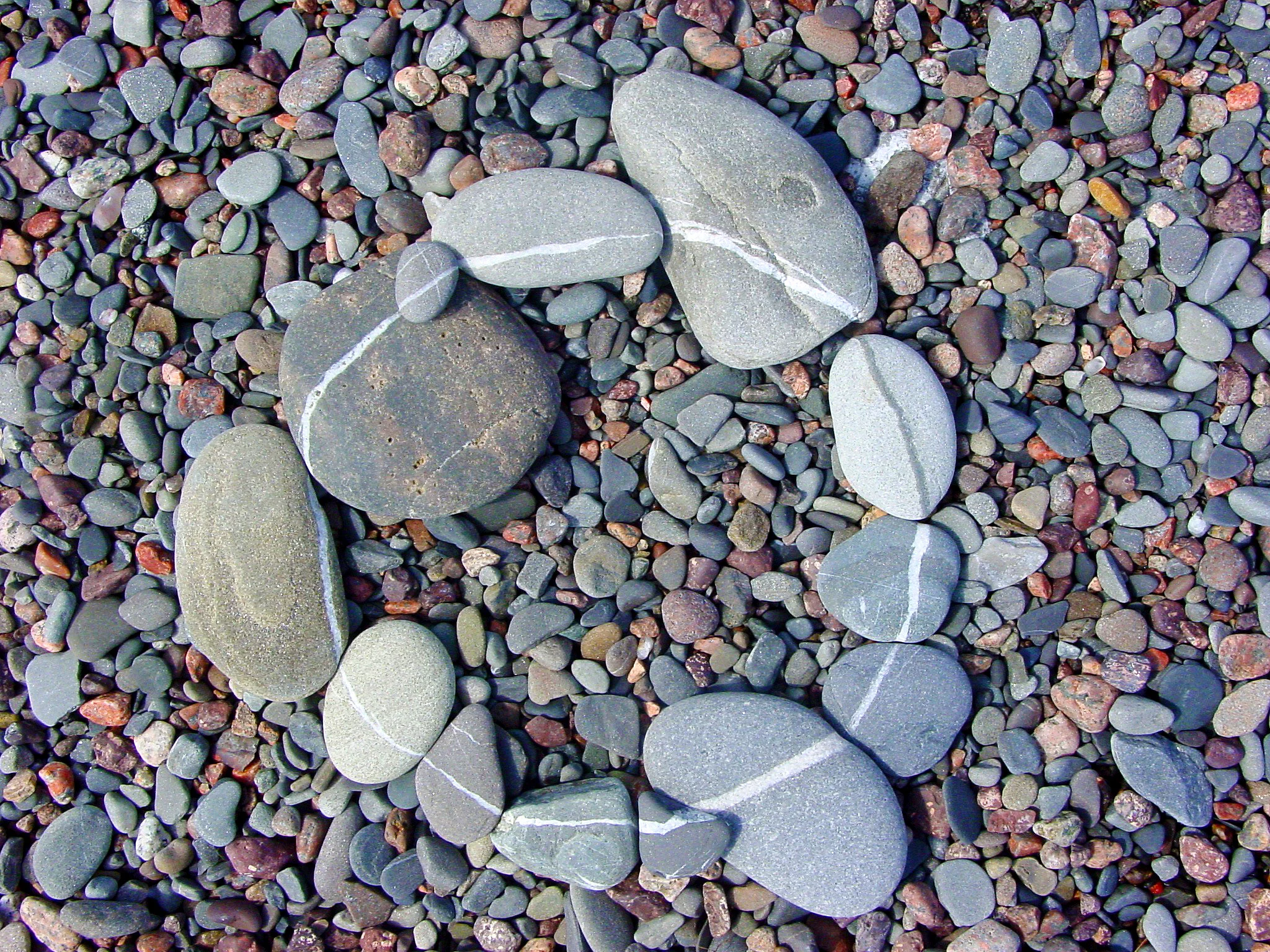 Cape Breton 083.jpg
