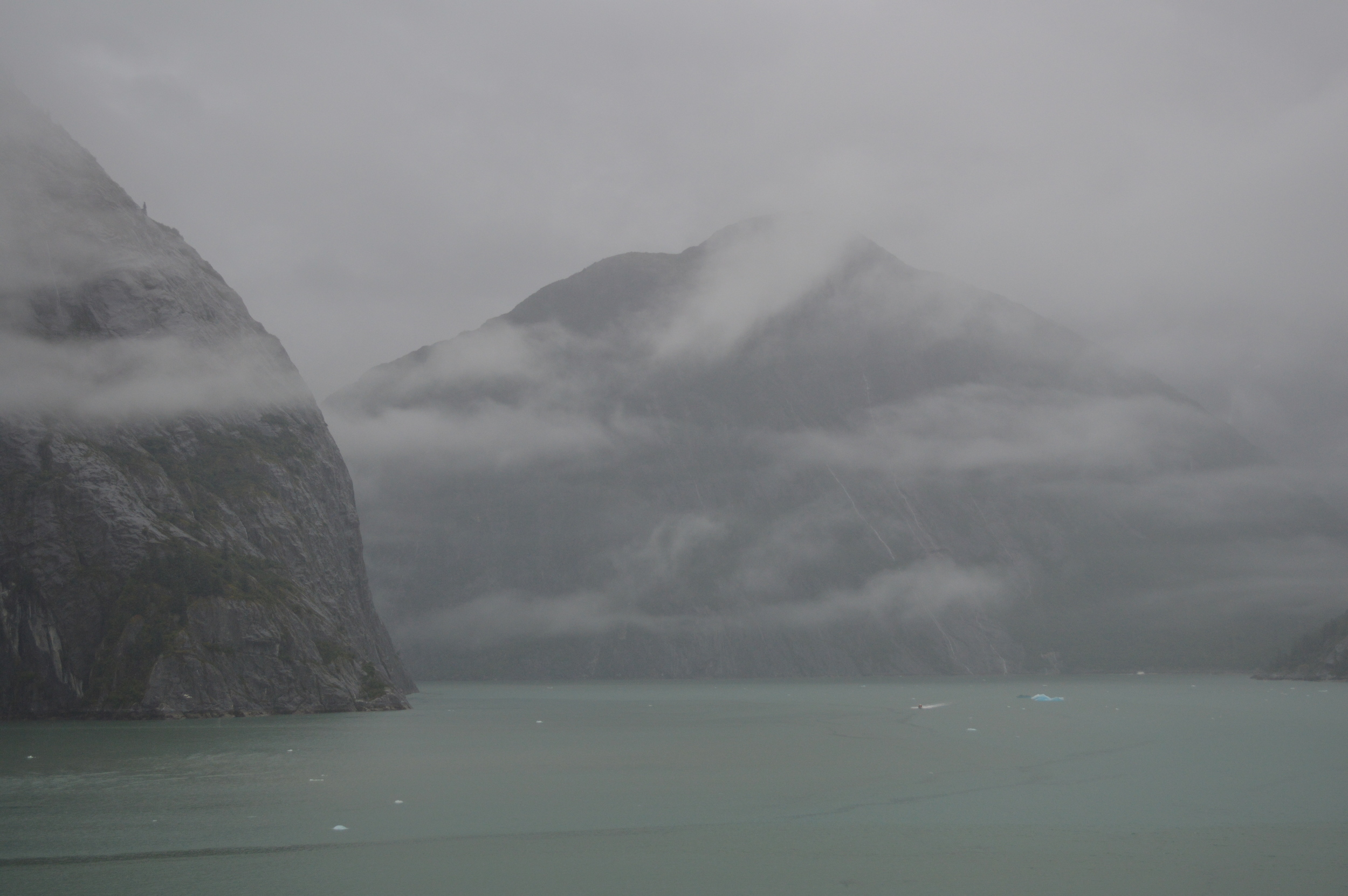 Tracy A rm Fjord 8/12./2015 ©Paul McCandless