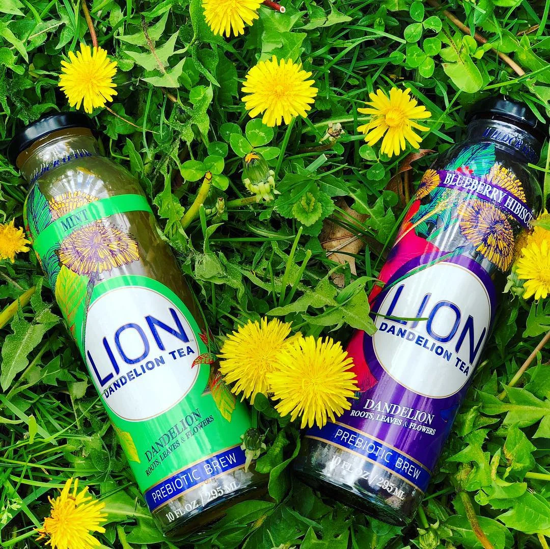 Dandelion Tea Amongst the Dandelions