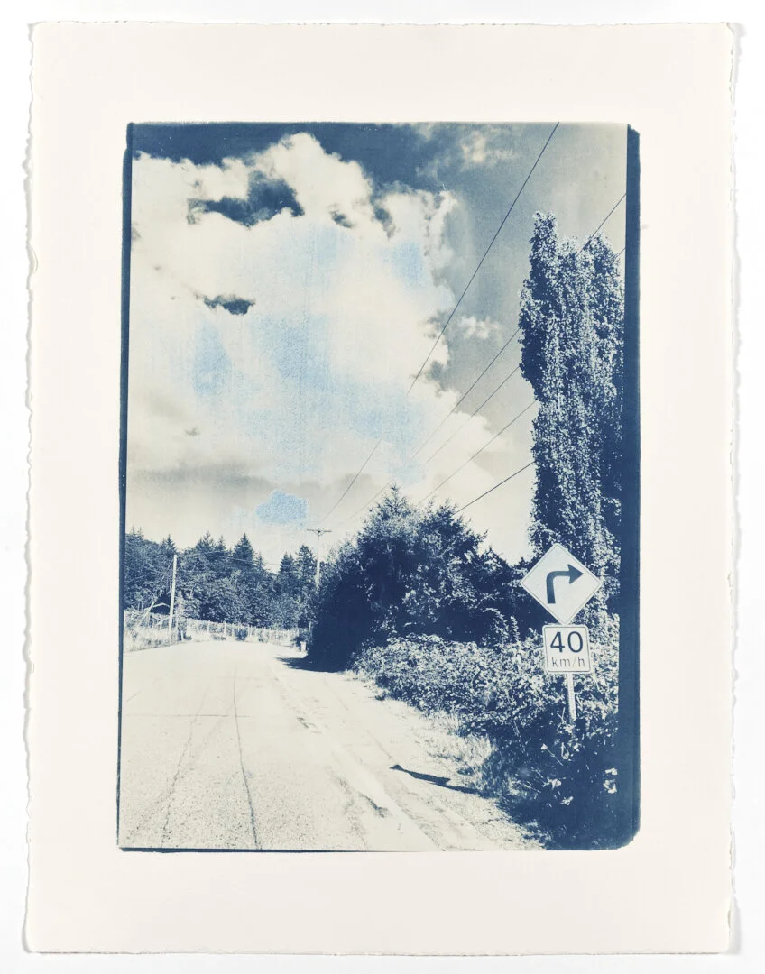 3. Top of Lee's Hill.jpg