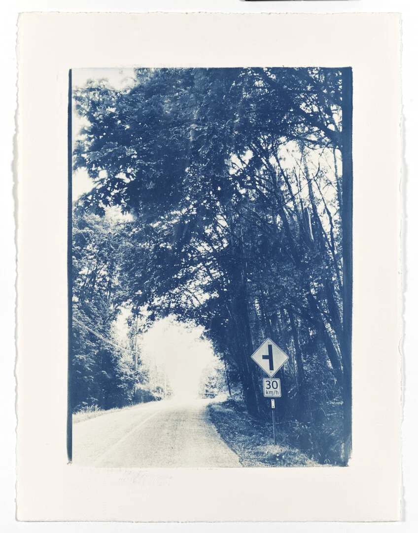 5. Sunset Drive.jpg