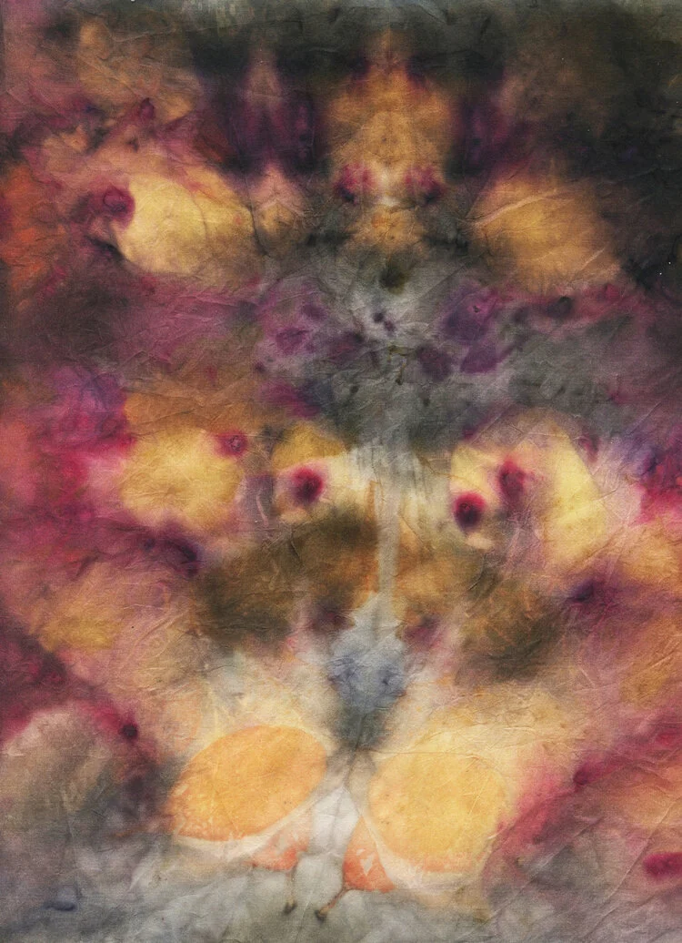 image-asset (2).jpeg