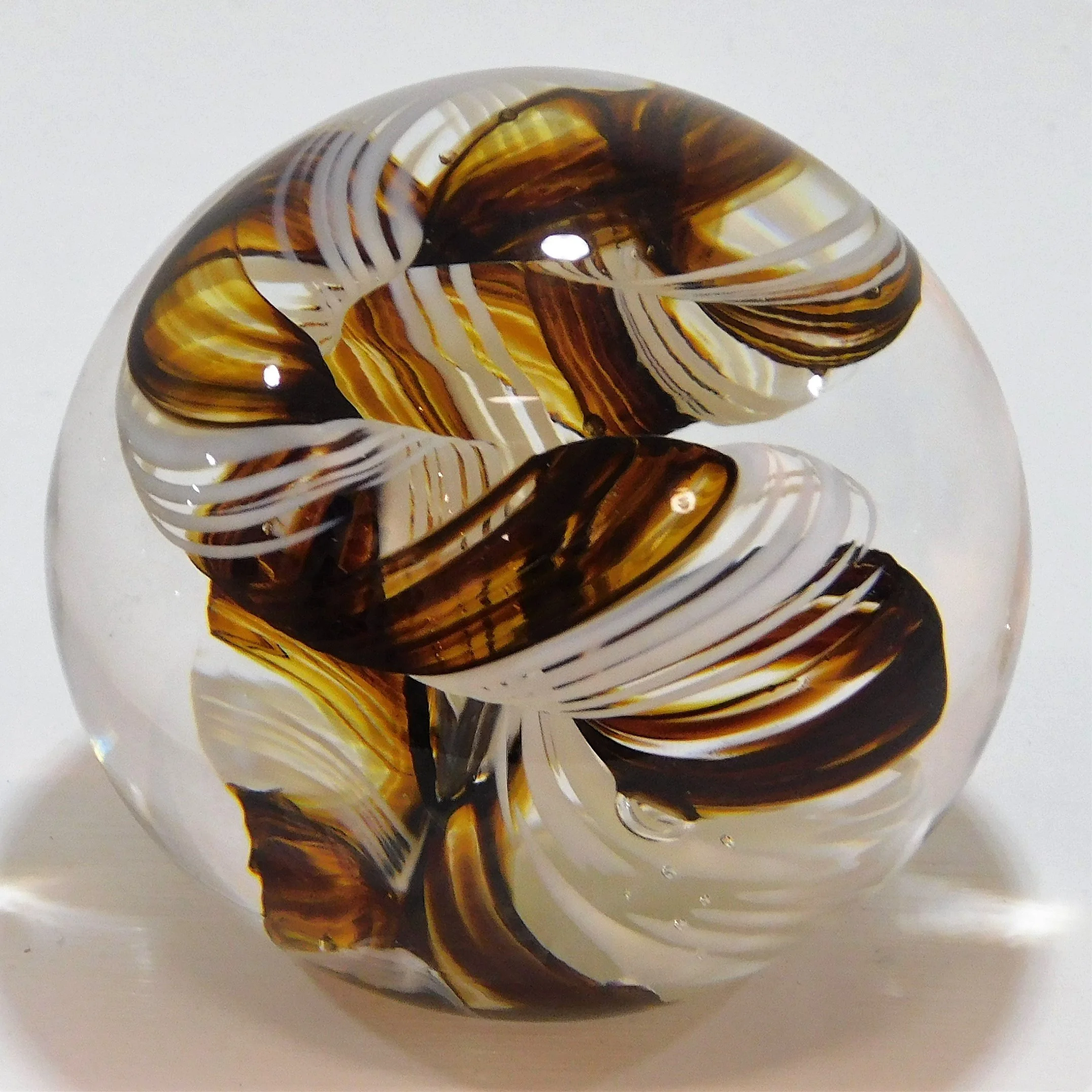 Ribbon - Amber & White