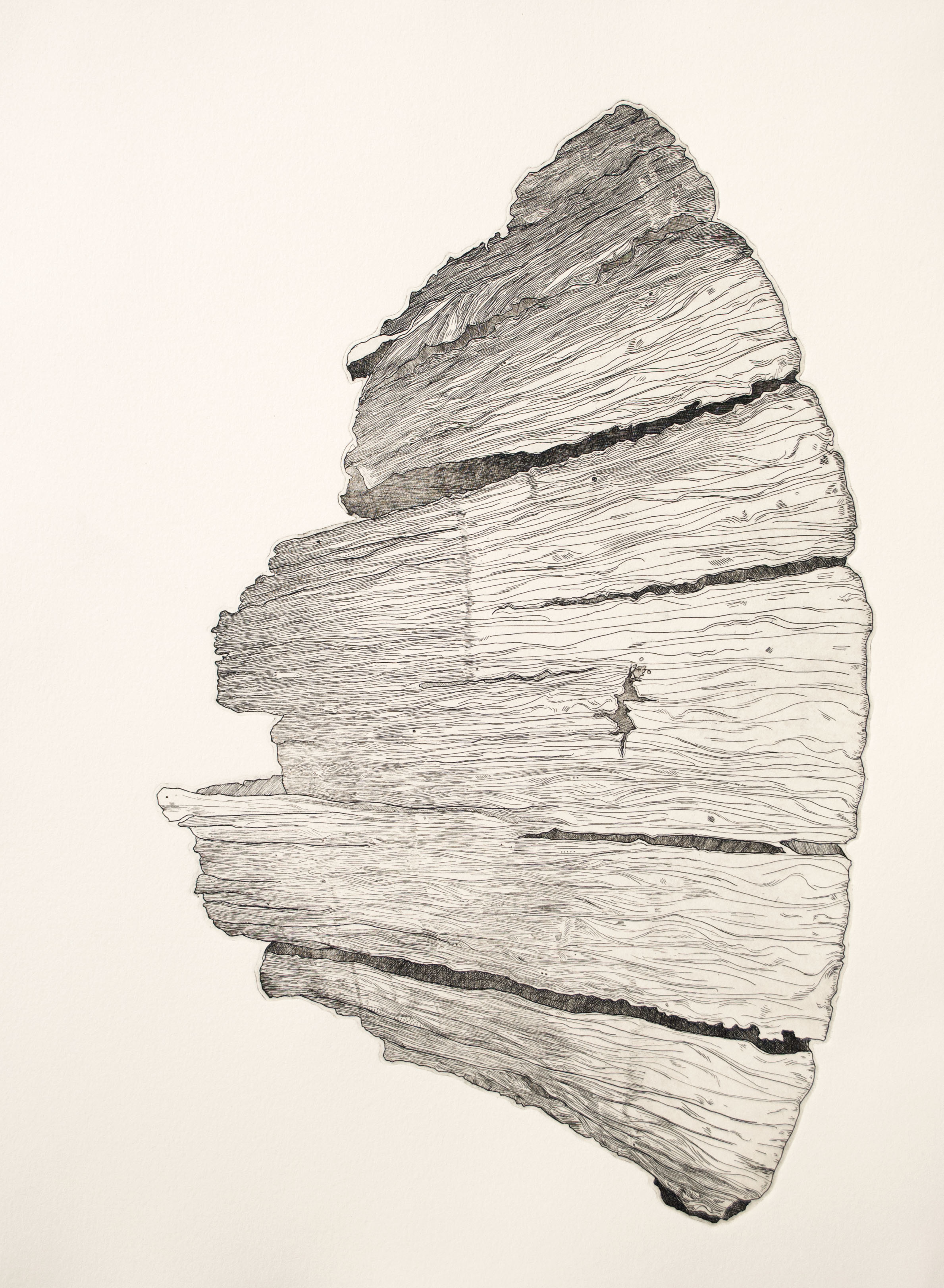 Burn I 2018 Intaglio 11 x 15 in.