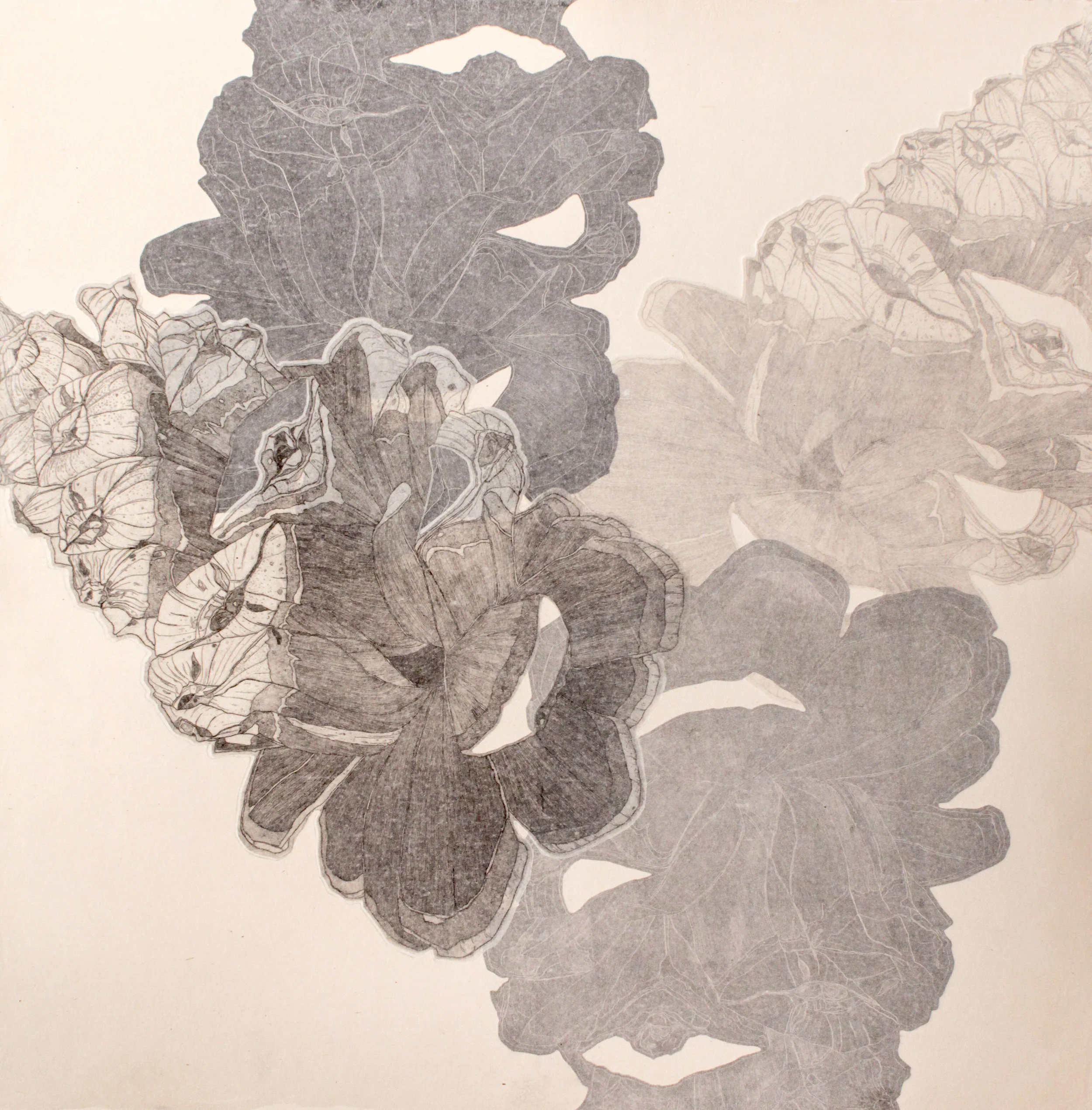 Opening Up 2018 Intaglio, Relief, Chine-collé 22 x 22 in.