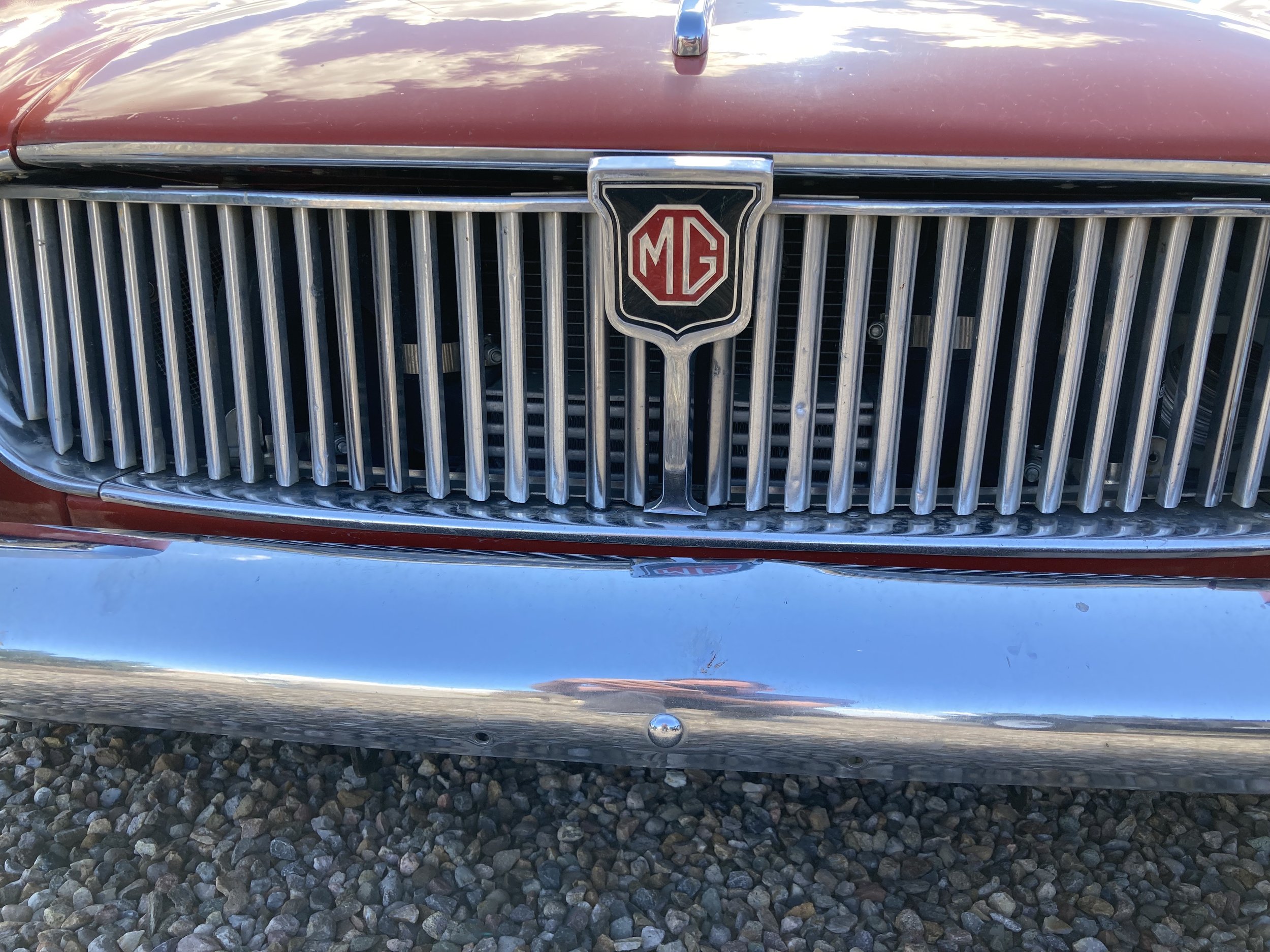 grille with bumper.jpg